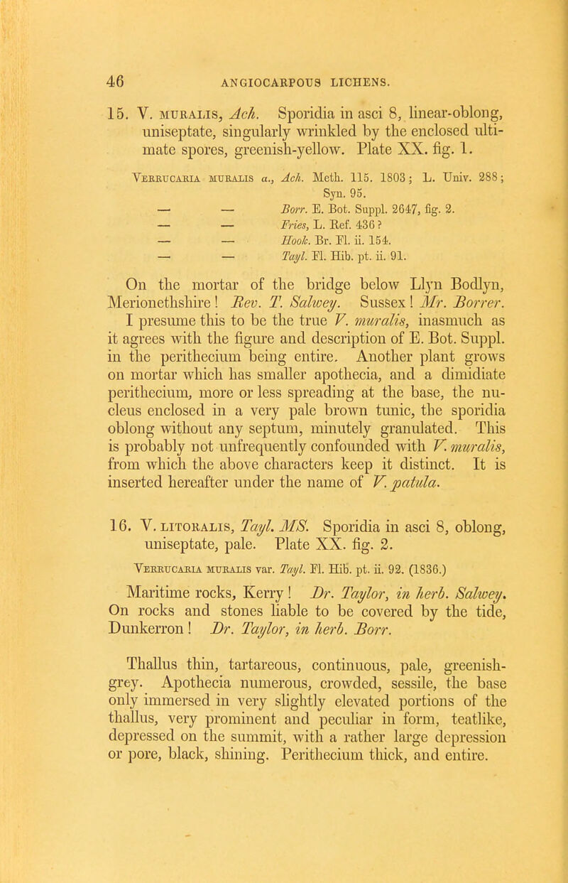 15. V. MURAiJS, Ach. Sporidia in asci 8, linear-oblong, uniseptate, singularly wrinkled by the enclosed ulti- mate spores, greenish-yellow. Plate XX. fig. 1. Veeetjcahia muralis a., Ach. Meth. 115. 1803 ; L. Univ. 288; Syn. 95. — — Borr. E. Bot. Suppl. 2647, %• 2. — — Vries, L. Ref. 436 ? — — Eoolc. Br. Fl. ii. 154. — — Tmjl. Fl. Hib. pt. ii. 91. On the mortar of the bridge below Llyn Bodlyn, Merionethshire ! Mev. T. Salwey. Sussex ! Mr. Borrer. I presume this to be the true V. muralis, inasmuch as it agrees with the figure and description of E. Bot. Suppl. in the perithecium being entire. Another plant grows on mortar which has smaller apothecia, and a dimidiate perithecium, more or less spreading at the base, the nu- cleus enclosed in a very pale brown tunic, the sporidia oblong without any septum, minutely granulated. This is probably not unfrequently confounded with V. muralis, from which the above characters keep it distinct. It is inserted hereafter under the name of V. patula. 16. V. LiTORALis, Tayl. MS. Sporidia in asci 8, oblong, uniseptate, pale. Plate XX. fig. 2. Verrucaiiia muealis var. Tayl. M. Hib. pt. ii. 92. (1836.) Maritime rocks, Kerry! Dr. Taylor, in herb. Salwey. On rocks and stones liable to be covered by the tide, Dunkerron ! Dr. Taylor, in herb. Borr. Thallus thin, tartareous, continuous, pale, greenish- grey. Apothecia numerous, crowded, sessile, the base only immersed in very shghtly elevated portions of the thallus, very prominent and peculiar in form, teatlike, depressed on the summit, with a rather large depression or pore, black, shining. Perithecium thick, and entire.