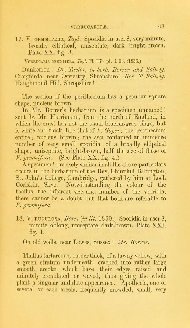 17. V. GEMMiFERA, Taijl. Spoi'idia in asciS, very minute, broadly elliptical, uniseptatc, dark bright-brown. Plate XX. fig. 3. Vehbijcabja gemmifeba, Tayl. Tl. Hib. pt. ii. 95. (1836.) Dunkerron ! Dr. Taylor, in herb. Borrer atid Salioey. Craigforda, near Oswestry, Shropshire! Hev. T. Salwey. Haughmoud Hill, Shropshire! The section of the perithecium has a peculiar square shape, nucleus brown. In Mr. Borrer's herbarium is a specimen unnamed! sent by Mr. Harrimann, from the north of England, in which the crust has not the usual blueish-gray tinge, but is white and thick, like that of V. Gagei; the perithecium entire; nucleus brown; the asci contained an immense number of very small sporidia, of a broadly elhptical shape, uniseptate, bright-brown, half the size of those of V. yemmifera. (See Plate XX. fig. 4.) A specimen ! precisely similar in all the above particulars occurs in the herbarium of the Rev. Churchill Babington, St. John's College, Cambridge, gathered by him at Loch Coriskin, Skye. Notwithstanding the colour of the thallus, the different size and number of the sporidia, there cannot be a doubt but that both are referable to V. gemmifera. 18. V. RTJGULOSA, Borr, {in lit. 1850.) Sporidia in asci 8, minute, oblong, uniseptate, dark-brown. Plate XXI. fig. 1. On old walls, near Lewes, Sussex! Mr. Borrer. Thallus tartareous, rather thick, of a tawny yellow, with a green stratum undenieath, cracked into rather large smooth areolte, which have their edges raised and minutely crenulated or waved, thus giving the whole plant a singular undulate appearance. Apothecia, one or several on each areola, frequently crowded, small, very