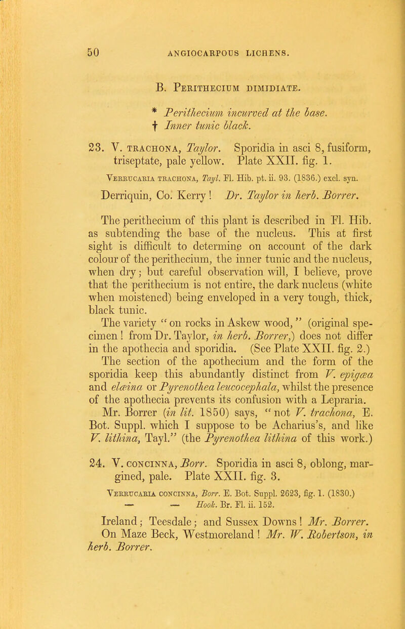 B. Perithecium dimidiate. * Perithecium incurved at the base, t Inner tunic blade. 23. V. TRACHONA, Taylor. Sporidia in asci 8, fusiform, triseptate, pale yellow. Plate XXII. fig. 1. Veerucaeia teachona, Tayl. PI. Hib. pt. ii. 93. (1836.) excl. syn. Derriquin, Co. Kerry ! Dr. Taylor in herb. Borrer. The perithecium of this plant is described in Fl. Hib. as subtending the base of the nucleus. This at first sight is difficult to determine on account of the dark colour of the perithecium, the inner tunic and the nucleus, when dry; but careful observation will, I believe, prove that the perithecium is not entire, the dark nucleus (white when moistened) being enveloped in a very tough, thick, black tunic. The variety  on rocks in Askew wood,  (original spe- cimen ! from Dr. Taylor, in kerb. Borrer,) does not differ in the apothecia and sporidia. (See Plate XXII. fig. 2.) The section of the apothecium and the form of the sporidia keep this abundantly distinct from V. epigcea and elmna or Pyrenothea leucocephala, whilst the presence of the apothecia prevents its confusion with a Lepraria. Mr. Borrer {in lit. 1850) says, not V. trachona, E. Bot. Suppl. which I suppose to be Acharius's, and like V. lithina, Tayl. (the Pyrenothea lithina of this work.) 24. V. coNciNNA, Borr. Sporidia in asci 8, oblong, mar- gined, pale. Plate XXII. fig. 3. Veeetjcaeia CONCINNA, Borr. E. Bot. Suppl. 2G23, fig. 1. (1830.) — Hook. Br. Fl. ii. 152. Ireland; Teesdale; and Sussex Downs ! Mr. Borrer. On Maze Beck, Westmoreland ! Mr. IF. Bobertso7i, in herb. Borrer.