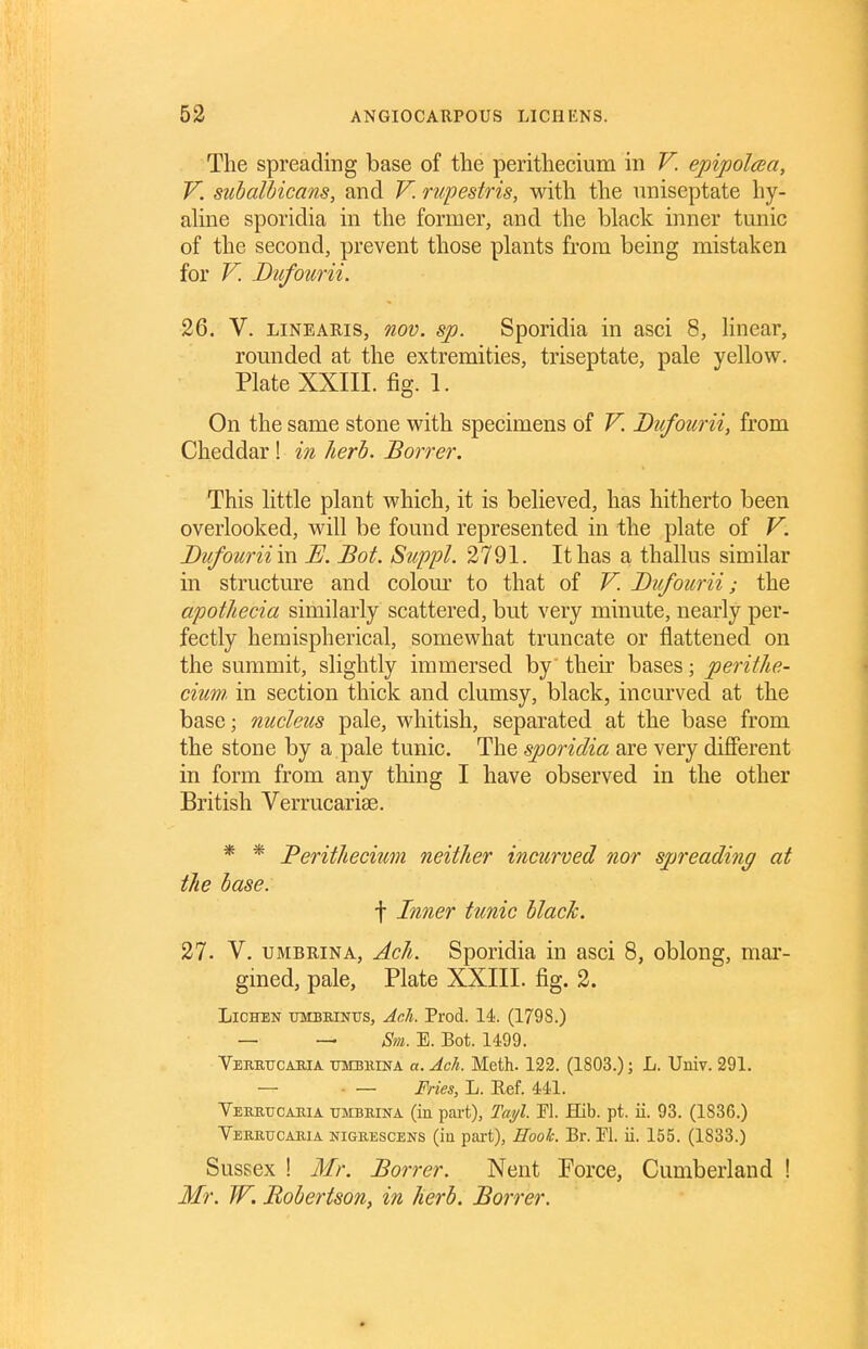 The spreading base of the perithecium in V. epipolcea, V. siibalhicans, and V. rupestris, with the nniseptate hy- ahne sporidia in the former, and the black inner tunic of the second, prevent those plants from being mistaken for V. Diifourii. 26. V. LINEARIS, nov. sp. Sporidia in asci 8, linear, romided at the extremities, triseptate, pale yellow. Plate XXIII. fig. 1. On the same stone with specimens of V. Dti/ourii, from Cheddar! in herb. Borrer. This little plant which, it is believed, has hitherto been overlooked, will be found represented in the plate of V. Bufourii 'm JE. Bot. Suppl. 2791. It has a thallus similar in structure and colom* to that of V. Dufourii; the apothecia similarly scattered, but very minute, nearly per- fectly hemispherical, somewhat truncate or flattened on the summit, slightly immersed by their bases; perithe- cium. in section thick and clumsy, black, incurved at the base; nucleus pale, whitish, separated at the base from the stone by a pale tunic. The sporidia are very diflPerent in form from any thing I have observed in the other British Verrucarise. * * Perithecitm neither incurved nor spreading at the base. t Inner tunic black. 27. V. UMBRiNA, Ach. Sporidia in asci 8, oblong, mar- gined, pale, Plate XXIII. fig. 2. Lichen raBniNus, Ach. Prod. 14. (1798.) — — Sm. E. Bot. 1499. Verbttcaeia tjmbkina a. Ach. Meth. 122. (1803.); L. Univ. 291. — ■ — Fries, L. Ref. 441. Yeretjcabia tjmbrina (in part), Tayl. Fl. Hib. pt. ii. 93. (1836.) Veerucaria nigkescens (in pai-t), Hook. Br. Fl. ii. 155. (1833.) Sussex ! Mr. Borrer. Nent Force, Cumberland ! Mr. W, Robertson, in herb. Borrer.