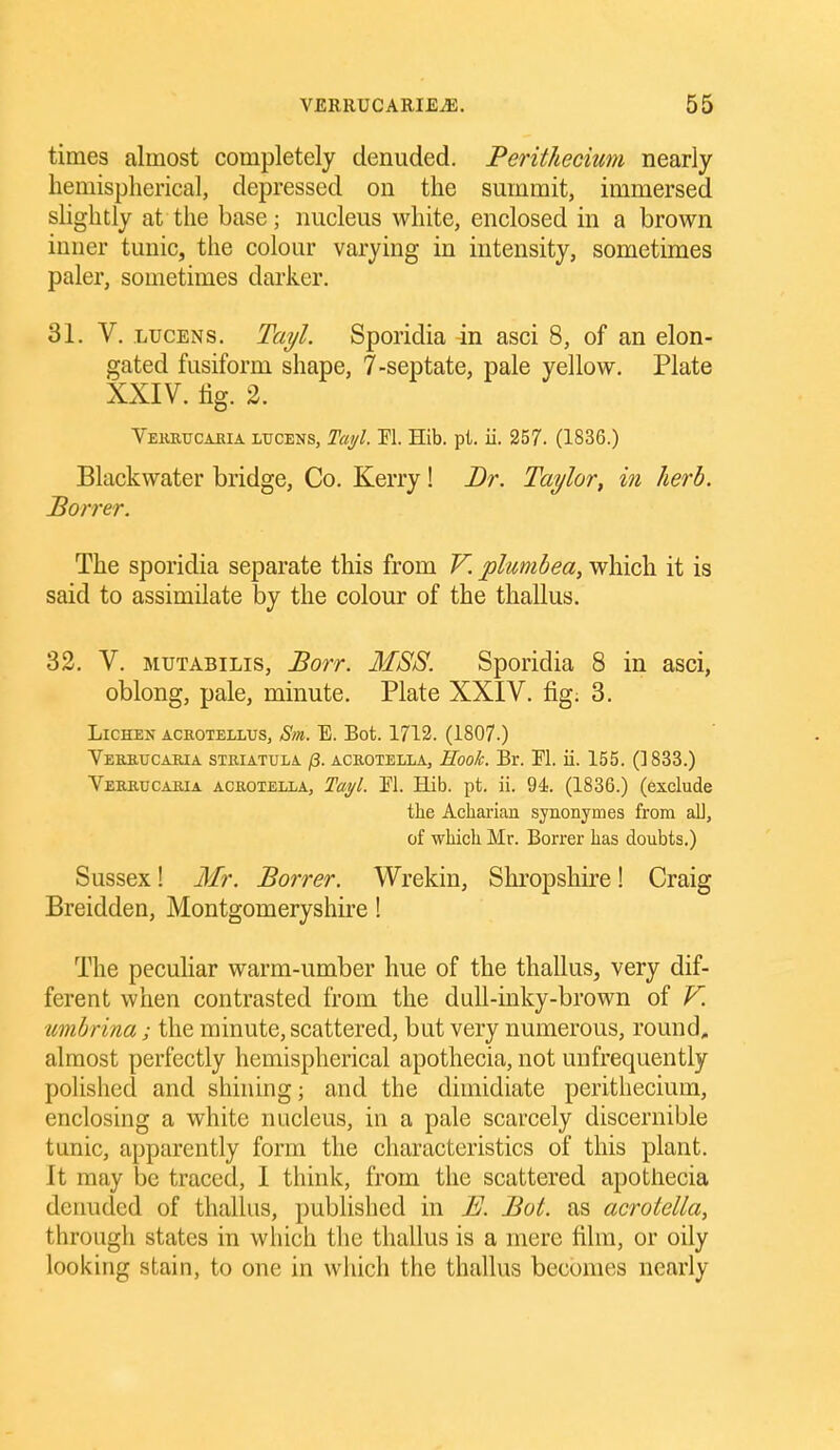 times almost completely denuded. Perithecium nearly hemisplierical, depressed on the summit, immersed slightly at the base; nucleus white, enclosed in a brown inner tunic, the colour varying in intensity, sometimes paler, sometimes darker. 31. V. LUCENS, Tai/l. Sporidia in asci 8, of an elon- gated fusiform shape, 7-septate, pale yellow. Plate XXIV. fig. 2. Vekkucakia LUCENS, Ttti/l. ri. Hib. pi. ii. 257. (1836.) Blackwater bridge, Co. Kerry! Dr. Taylor, in herb. Borrer. The sporidia separate this from V. plunibea, which it is said to assimilate by the colour of the thallus. 32. V. MUTABiLis, Borr. MSS. Sporidia 8 in asci, oblong, pale, minute. Plate XXIV. fig; 3. Lichen acrotellus, Sm. E. Bot. 1712. (1807.) YEaBucAKiA sxRiATULA /3. ACKOTELLA, Hook. Br. El. u. 155. (]833.) Veektjcabia ACB.OTELLA, Tai/l. El. Hib. pt. ii. 94. (1836.) (exclude the Acharian synonymes from all, of which Mr. Borrer has doubts.) Sussex! Mr. Borrer. Wrekin, Shropshire! Craig Breidden, Montgomeryshire! The pecuhar warm-umber hue of the thallus, very dif- ferent when contrasted from the dull-inky-brown of F. imbrina; the minute, scattered, but very numerous, round, almost perfectly hemispherical apothecia, not unfrequently polished and shining; and the dimidiate perithecium, enclosing a white nucleus, in a pale scarcely discernible tunic, apparently form the characteristics of this plant. It may be traced, 1 think, from the scattered apothecia denuded of thallus, published in E. Bot. as acrotella, through states in which tlie thallus is a mere film, or oily looking stain, to one in wliich the thallus becomes nearly