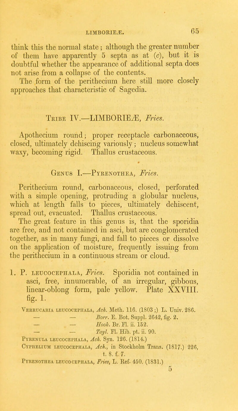 think this the normal state; although the greater number of them have apparently 5 septa as at (c), but it is doubtful whether the appearance of additional septa does not arise from a collapse of the contents. The form of the perithecium here still more closely approaches that characteristic of Sagedia. Tribe IV.—LIMBORIEiE, Fries. Apothecium round; proper receptacle carbonaceous, closed, ultimately dehiscing variously; nucleus somewhat waxy, becoming rigid. Thallus crustaceous. » Genus I.—Pyrenothea, Fries. Perithecium round, carbonaceous, closed, perforated with a simple opening, protruding a globular nucleus, which at length falls to pieces, ultimately dehiscent, spread out, evacuated. Thallus crustaceous. The great feature in this genus is, that the sporidia are free, and not contained in asci, but are conglomerated together, as in many fungi, and fall to pieces or dissolve on the application of moisture, frequently issuing from the perithecium in a continuous stream or cloud. 1. P. leucocephala, Fries. Sporidia not contained in asci, free, innumerable, of an irregular, gibbous, linear-oblong form, pale yellow. Plate XXVIII. fig. 1- Verrucahia leucocephaxa, Ach. Meth. 116. (1803 ;) L. Univ. 286. — — Borr. E. Bot. Suppl. 2642, fig. 2. — — Hook. Br. ri. ii. 152. — — Tmjl. El. Hib. pt. ii. 90. Pyrenula leucocephala, Ach. Syn. 126. (1814.) Cyphelium leucocephala, Ach., in Stockliolm Trans. (1817.) 226, t.. 8. f. 7. Pytienothea leucocephala, Fries, L. Ilef. 450. (1831.) 5