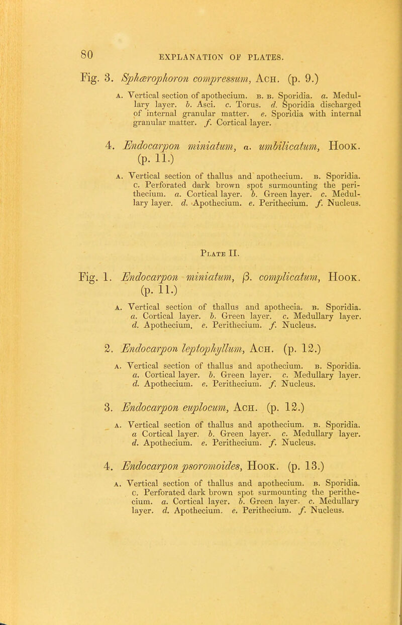 Fig. 3. Sjp1icBrophoro7i compressum, Ach. (p. 9.) A. Vertical section of apothecium. b. b. Sporidia. a. Medul- lary layer, b. Asci. c. Torus, d. Sporidia discharged of internal granular matter, e. Sporidia with internal granular matter, f. Cortical layer. 4. Endocarpon miniatum, a. umbilicatum, Hook. (p. 11.) A. Vertical section of thallus and apothecium. b. Sporidia. c. Perforated dark brown spot surmounting the peri- thecium. a. Cortical layer, b. Green layer, c. Medul- lary layer, d. Apothecium. e. Perithecium. /. Nucleus. Plate II. Fig. 1. Endocarpon miniatum, /3. complicatum. Hook. (p. 11.) a. Vertical section of thallus and apothecia. b. Sporidia. a. Cortical layer, b. Green layer, c. Medullary layer. d. Apothecium. e. Perithecium. f. Jfucleus. 2. Endocarpon leptopUyllum, Ach. (p. 12.) a. Vertical section of thallus and apothecium. b. Sporidia. a. Cortical layer, b. Green layer, c. Medullary layer. d. Apothecium. e. Perithecium. f. Nucleus. 3. Endocarpon euplocum, Ach. (p. 12.) A. Vertical section of thallus and apothecium. b. Sporidia. a Cortical layer, b. Green layer, c. Medullary layer. d. Apothecium. e. Perithecium. /. Nucleus. 4. Endocarpon psoromoides. Hook. (p. 13.) A. Vertical section of thallus and apothecium. b. Sporidia. c. Perforated dark brown spot surmounting the perithe- cium. a. Cortical layer, b. Green layer, c. Medullary layer, d, Apothecium. e. Perithecium. /. Nucleus.