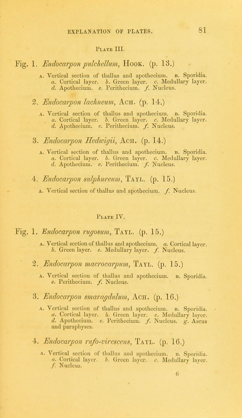 Plate III. Fig. 1. Endocarponpulchellum, Hook. (p. 13.) A. Vertical section of thallus and apothecium. n. Sporidia. a. Cortical layer, h. Green layer, c. Medullary layer. d. Apothecium. e. Perithecium. f. Nucleus. 2. Endocarpon laclmeum, Ach. (p. 14.) A. Vertical section of thallus and apothecium. b. Sj^oridia. a. Cortical layer, h. Green layer, c. Medullary layer. d. Apothecium. e. Perithecium. f. Nucleus. 3. Endocarpon Hedioigii, Ach. (p. 14.) A. Vertical section of thallus and apothecium. b. Sporidia. a. Cortical layer, h. Green layer, c. Medullary layer. d. Apothecium. e. Perithecium. f. Nucleus. 4. Endocarpon sulphureum, Tayl. (p. 15.) A. Vertical section of thallus and apothecium. /. Nucleus. Plate IV. Fig. 1. Endocarpon riigosum, Tayl. (p. 15.) a. Vertical section of thallus and apothecium. b. Sporidia. a. Cortical layer, h. Green layer, c. Medullary layer. d. Apothecium. e. Perithecium. /. Nucleus, g. Ascus and paraphyses. 4. Endocarpon rufo-virescens, Tayl. (p. 16.)