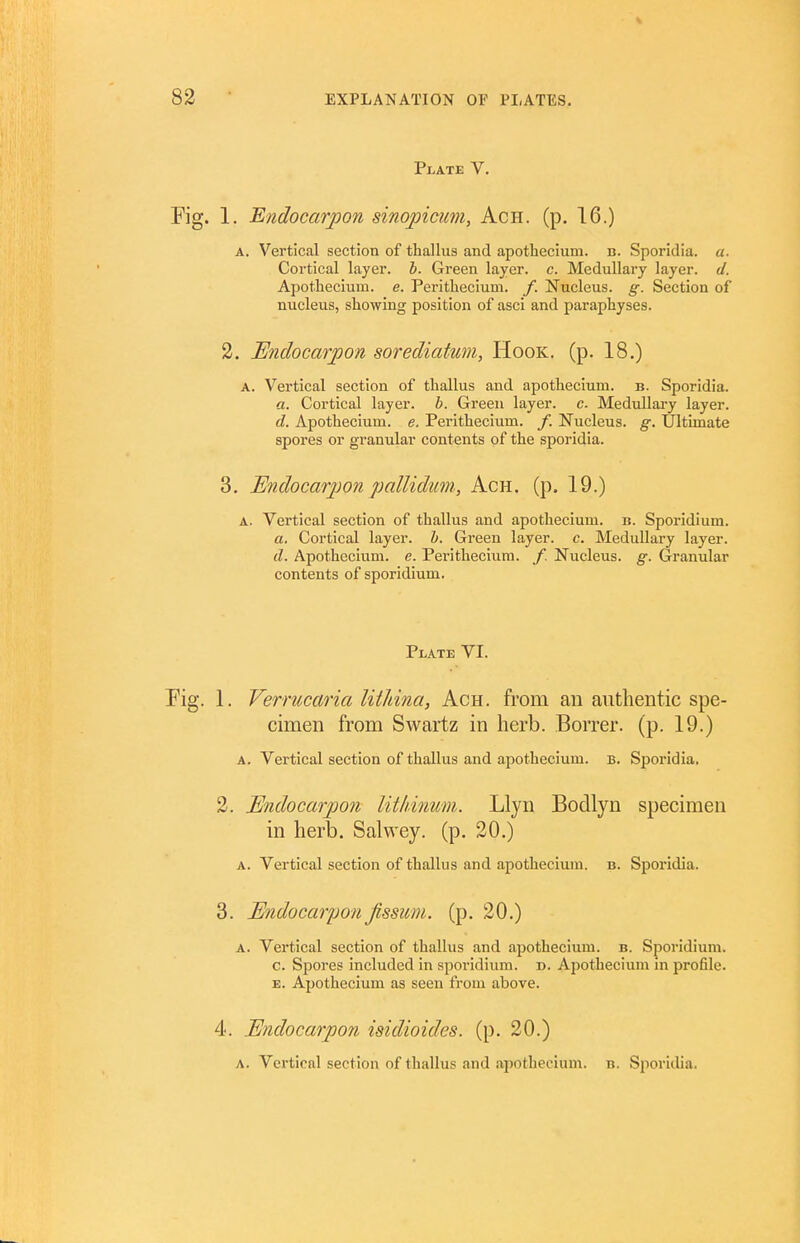 Plate V. 1. Endocarpon sinopicum, Ach. (p. 16.) A. Vertical section of thallus and apothecium. n. Sporidia. a. Cortical layer, h. Green layer, c. Medullary layer, d. Apothecium. e. Perithecium. f. Nucleus, g. Section of nucleus, showing position of asci and paraphyses. 2. Endocarpon sorediatum, Hook. (p. 18.) A. Vertical section of thallus and apothecium. b. Sporidia. a. Cortical layer, b. Green layer, c. Medullary layer. d. Apothecium. e. Perithecium. f. Nucleus, g. Ultimate spores or granular contents of the sporidia. 3. Endocarpon pallidum, Ach. (p. 19.) A. Vertical section of thallus and apothecium. b. Sporidium. a. Cortical layer. 1). Green layer, c. Medullary layer. d. Apothecium. e. Perithecium. /, Nucleus, g. Granular contents of sporidium. 1. Verrucaria UtJiina, Ach. from an authentic spe- cimen from Swartz in herb. Borrer. (p. 19.) A. Vertical section of thallus and apothecium. b. Sporidia, A. Vertical section of thallus and apothecium. b. Sporidia. 3. Endocarpon Jissum. (p. 20.) A. Vertical section of thallus and apothecium. b. Sporidium. c. Spores included in sporidium. d. Apothecium in profile. E. Apothecium as seen from above. 4. Endocarpon isidioides. (p. 20.) A. Vertical section of thallus and apothecium. n. Sporidia. Plate VI. 2. Endocarjjon litkinum. Lh in herb. Salwey. (p. 20.)