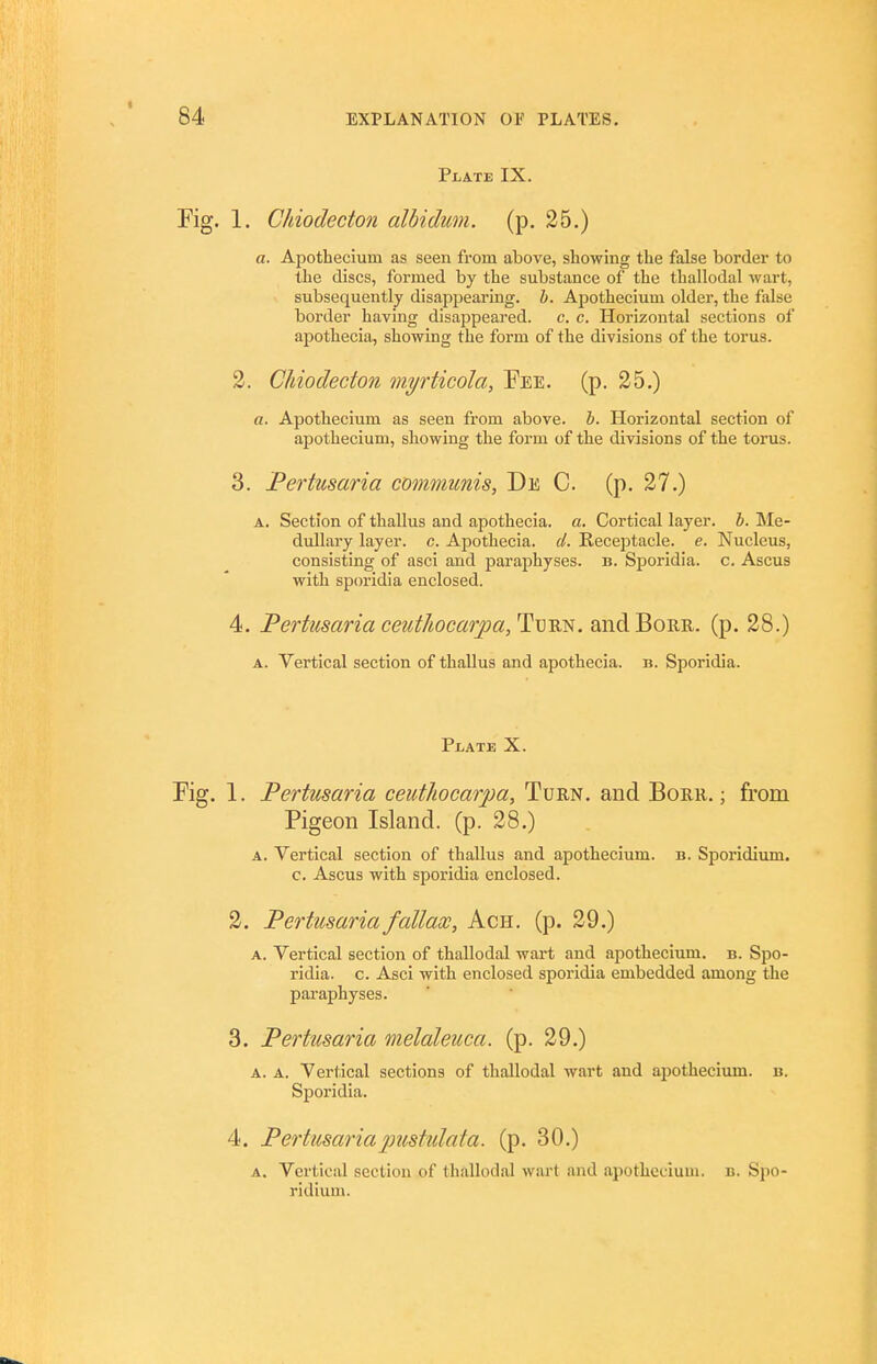 Plate IX. 1. Chiodecton alhidum. (p. 25.) a. Apothecium as seen from above, showing the false border to the discs, formed by the substance of the thallodal wart, subsequently disapjjearing. h. Apothecium older, the false border having disappeared, c. c. Horizontal sections of apothecia, showing the form of the divisions of the torus. 2. Chiodecton myrticola, Fee. (p. 25.) a. Apothecium as seen from above. 5. Horizontal section of apothecium, showing the form of the divisions of the torus. 3. Pertusaria communis, De C. (p. 27.) A. Section of thallus and apothecia. a. Cortical layer, i. Me- dullai'y layer, c. Apothecia. d. Receptacle, e. Nucleus, consisting of asci and paraphyses. b. Sporidia. c. Ascus with spcnndia enclosed. 4. Perhcsaria ceuthocarpa,l!:\]'m. andBoRn. (p. 28.) A. Vertical section of thallus and apothecia. b. Sporidia. Plate X. 1. Pertusaria ceuthocarpa. Turn, and Borr. ; from Pigeon Island, (p. 28.) A. Vertical section of thallus and apothecium. b. Sporidium. c. Ascus with sporidia enclosed. 2. Pertusariafallaw, Ach. (p. 29.) A. Vertical section of thallodal wart and apothecium. b. Spo- ridia. c. Asci with enclosed sporidia embedded among the paraphyses. 3. Pertusaria melaleuca. (p. 29.) A. A. Vertical sections of thallodal wart and apothecium. b. Sporidia. 4. Pertusariapustulata. (p. 30.) A. Vertical section of thallodal wart and apothecium. b. Spo- ridium.