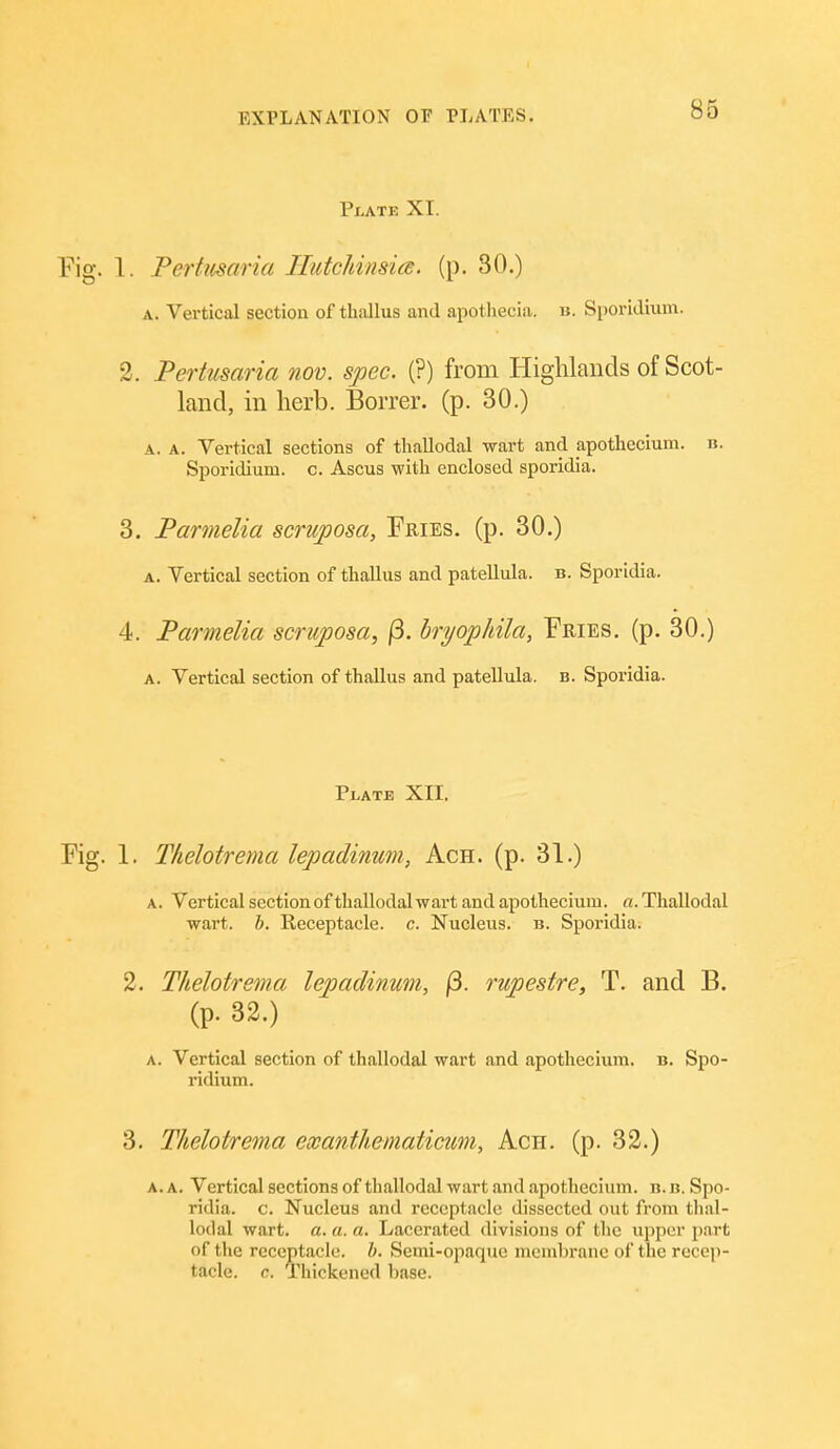 Plate XI. 1. Perttisaria Ilutchinsia. (p. 30.) A. Vertical section of thallus and apothecia. b. Sporidiiim. 2. Perttisaria nov. spec. (?) from Highlands of Scot- land, in herb. Borrer. (p. 30.) A. A. Vertical sections of thallodal wart and apothecium. u. Sporidium. o. Ascus with enclosed sporidia. 3. Parmelia scruposa, Fries, (p. 30.) A. Vertical section of thallus and patellula. b. Sporidia. 4. Parmelia scruposa, |3. hryophila. Fries, (p. 30.) A. Vertical section of thallus and patellula. b. Sporidia. Plate XII. 1. Thelotrema lepadinum, Ach. (p. 31.) A. Vertical section of thallodal wart and apothecium. a. Thallodal wart. h. Receptacle, c. Nucleus, b. Sporidia. 2. Thelotrema lepadinum, j3. rupestre, T. and B. (p. 32.) A. Vertical section of thallodal wart and apothecium. b. Spo- ridium. 3. Thelotrema exanthematicum, Ach. (p. 32.) A. A. Vertical sections of thallodal wart .md apothecium. b. n. Spo- ridia. c. Nucleus and receptacle dissected out from tlial- lodal wart. a. a. a. Lacerated divisions of the upper part of the receptacle, h. Semi-opaque membrane of the recep- tacle, c. Thickened base.