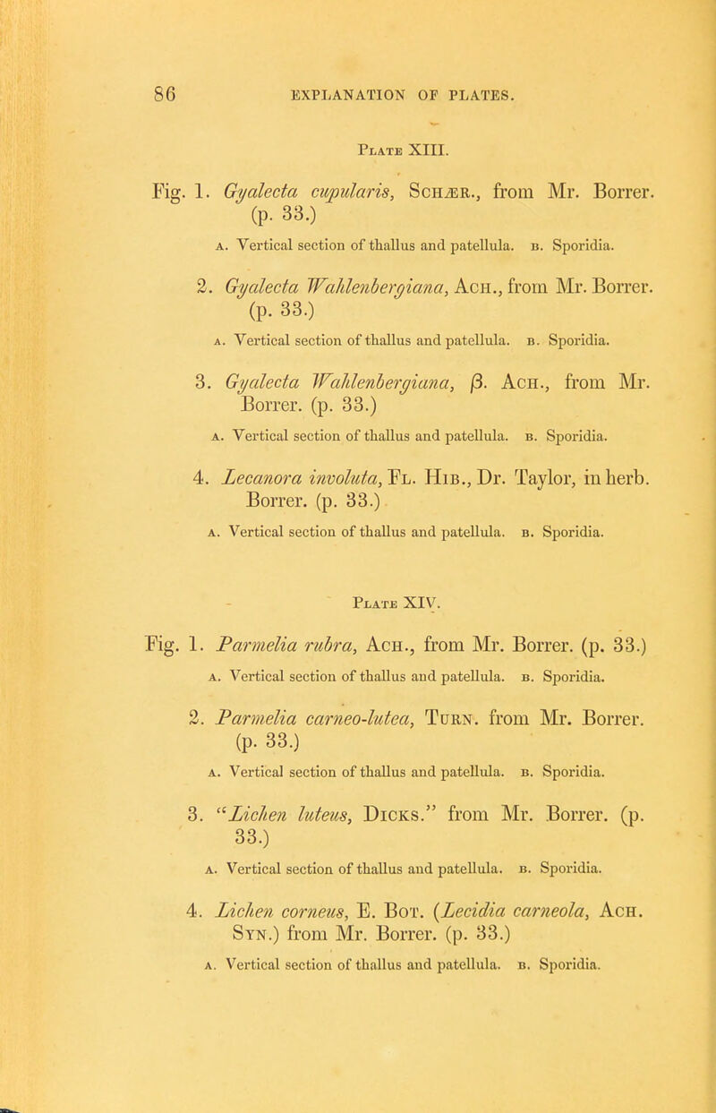 Plate XIII. . 1. Gyalecta cupularis, ScHiER., from Mr. Borrer. (p. 33.) A. Vertical section of thallus and patellula. b. Sporidia. 2. Gyaleda Wahlenbergiana, Ach., from Mr. Borrer. (p. 33.) A. Vertical section of ttallus and patellula. b. Sporidia. 3. Gyalecta Walilenhergiana, (5. Ach., from Mr. Borrer. (p. 33.) A. Vertical section of thallus and patellula. b. Sporidia. 4. Lecanora involuta,Y'L. HiB., Dr. Taylor, in herb. Borrer. (p. 33.) A. Vertical section of thallus and patellula. a. Sporidia. Plate XIV. 1. Parmelia rubra, Ach., from Mr. Borrer. (p. 33.) A. Vertical section of thallus and patellula. b. Sporidia. 2. Parmelia carneo-lutea, Turn, from Mr. Borrer. (p. 33.) A. Vertical section of thallus and patellula. b. Sporidia. 3. '■'■Lichen luteus, Dicks. from Mr. Borrer. (p. 33.) A. Vertical section of thallus and patellula. b. Sporidia. 4. Lichen corneus, E. Bot. {Lecidia carneola, Ach. Syn.) from Mr. Borrer. (p. 33.)