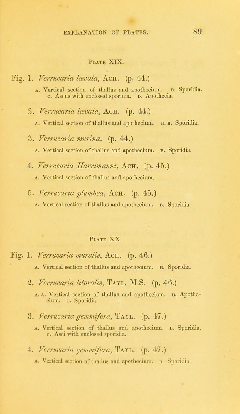 Plate XIX. Fig. 1. Verrucaria Icevata, Ach. (p. 44.) A. Vertical section of thalhis and apotliecium. n. Si:)oridia. c. Ascus with enclosed sijoridia. d. Apothecia. 2. Verrucaria Icevata, Ach. (p. 44.) A. Vertical section of thallus and apotliecium. b. b. Sporldia. 3. Verrucaria murina. (p. 44.) A. Vertical section of tliallus and apotliecium, a. Sporidia. 4. Verrucaria Harrimanni, Ach. (p. 45.) A. Vertical section of thallus and apothecium. 5. Verrucaria plumhea, Ach. (p. 45.) A. Vertical section of thallus and apothecium. b. Sporidia. Plate XX. Pig. 1. Verrucaria muralis, Ach. (p. 46.) A. Vertical section of thallus and apothecium. b. Sporidia. 2. Verrucaria litoralis, Tayl. M.S. (p. 46.) A. A. Vertical section of thallus and apothecium. b. Apothe- cium. c. Sporidia. 3. Verrucariagemmifera, Tayl. (p. 47.) A. Vertical section of thallus and apothecium. b. Sporidia. c. Asci with enclosed sporidia. 4. Verrucaria gemmifera, Tayl. (p. 47.)