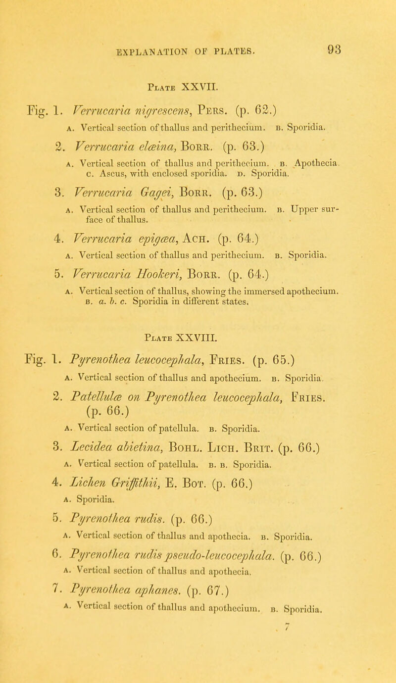 Plate XXVII. Fig. 1. Ferriicaria ni^rescens, Pers. (p. 62.) A. Vertical section oftballus and perithecium. n. Sporidia. 2. Verrucaria elaina, Borr. (p. 63.) A. Vertical section of tliallus and perithecium. b. Apothecia. c. Ascus, ■with enclosed sporidia. d. Sporidia. 3. Verrucaria Gac/ei, Borr. (p. 63.) A. Vertical section of thallus and perithecium. b. Upper sur- face of thallus. 4. Verrucaria epigcea, Ach. (p. 64.) A. Vertical section of thallus and perithecium. b. Sporidia. 5. Verrucaria HooJceri, Borr. (p. 64.) A. Vertical section of thallus, showing the immersed apothecium. fl. a. h. c. Sporidia in different states. PiATE XXVIII. Fig. 1. Fyrenotliea leucocephala. Fries, (p. 65.) A. Vertical section of thallus and apothecium. d. Sporidia, 2. Fatellulee on Pyrenothea leucocephala, Fries. (p. 66.) A. Vertical section of patellula. b. Sporidia. 3. Lecidea abietina, Bohl. Lich. Brit. (p. 66.) A. Vertical section of patellula. b. b. Sporidia. 4. Lichen GrijfitUi, E. Bot. (p. 66.) A. Sporidia. 5. Fyrenothea rudis. (p. 66.) A. Vertical section of thallus and apothecia. u. Sporidia. 6. Pyrenofkea rudispseudo-leucocephala. (p. 66.) A. Vertical section of thallus and apothecia. 7. Pyrenolhea aphanes. (p. 67.)