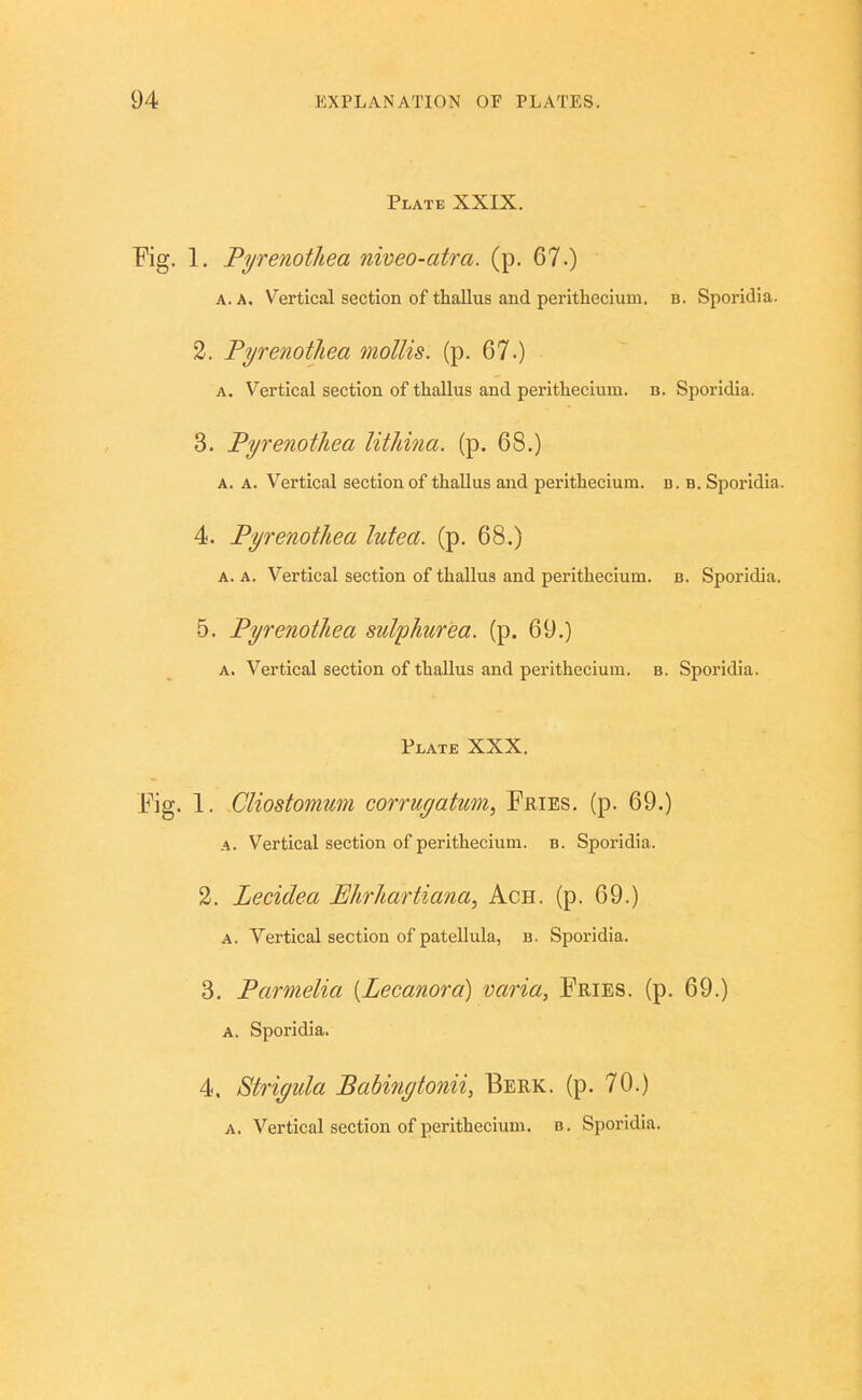 Plate XXIX. Fig. 1. Pyrenothea niveo-atra. (p. 67.) A. A, Vertical section of thallus and perithecium. b. Sporidia. 3. Pyrenotjiea mollis, (p. 67.) A. Vertical section of thallus and perithecium. b. Sporidia. 3. Pyrenothea lithina. (p. 68.) A. A. Vertical section of thallus and perithecium. b. b. Sporidia. 4. Pyrenothea lutea. (p. 68.) A. A. Vertical section of thallus and perithecium. b. Sporidia. 5. Pyrenothea sulphurea. (p. 69.) A. Vertical section of thallus and pei'ithecium. b. Sporidia. Plate XXX. Fig. 1. Cliostomum corruyatum, Fries, (p. 69.) A. Vertical section of perithecium. b. Sporidia. 2. Lecidea Ehrhartiana, AcH. (p. 69.) A. Vertical section of patellula, b. Sporidia. 3. Parmelia [Lecanora) varia, Fries, (p. 69.) A. Sporidia. 4. Striyula Babitiytonii, Berk. (p. 70.)