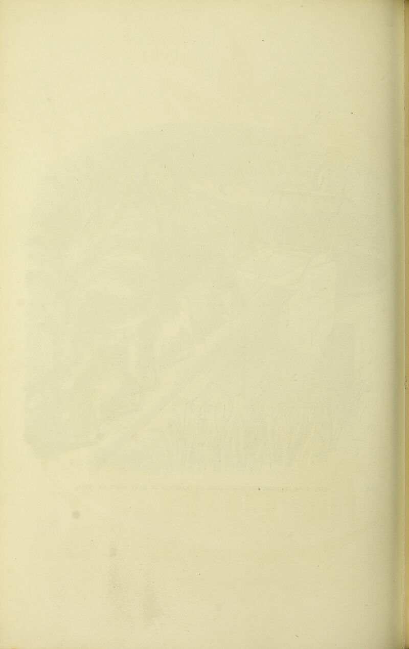il