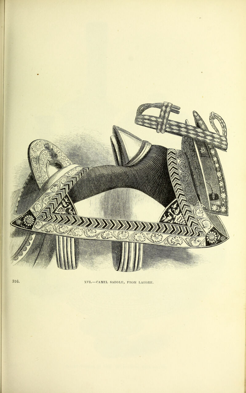 316. XVI.—CAMEL SADDLE, FROM LAHORE.