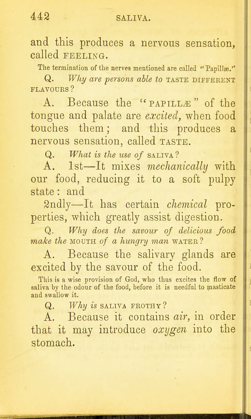 and this produces a nervous sensation, called FEELING. The termination of the nerves mentioned are called Papillae. Q. Wilt/ are persons able to taste diffekent FLAVOURS ? A. Because the papillae  of the tongue and palate are excited, when food touches them; and this produces a nervous sensation, called taste. Q. What is the use of saliva ? A. 1st—It mixes mechanically with our food, reducing it to a soft pulpy state: and 2ndly—It has certain chemical pro- perties, which greatly assist digestion. Q. Why does the savour of delicious food make the mouth of a hungry man water? A. Because the salivary glands are excited by the savour of the food. This is a wise provision of God, who thus excites the flow of saliva by the odour of the food, before it is needful to masticate and swallow it. Q. Why is saliva frothy? A. Because it contains air, in order that it may introduce oxygen into the stomach.