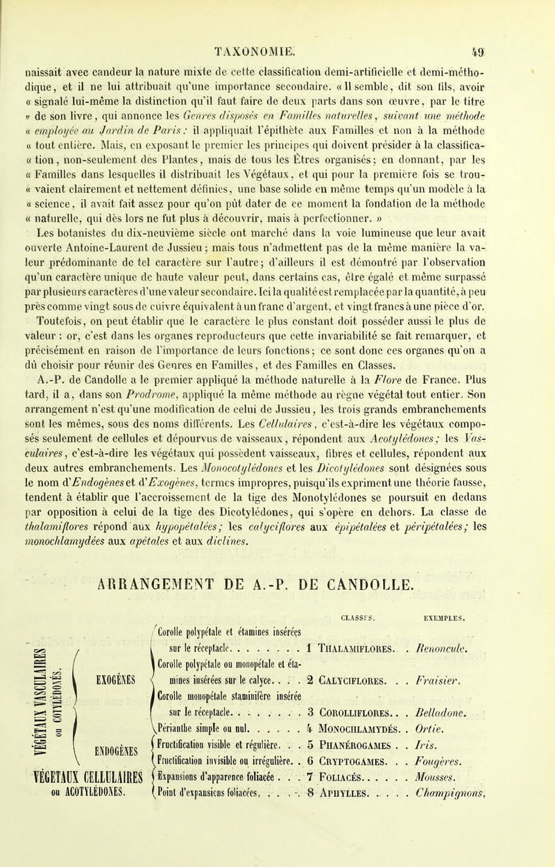 naissait avec candeur la nature mixte de cette classification demi-artificielle et demi-métho- dique, et il ne lui attribuait qu'une importance secondaire. «11 semble, dit son lils, avoir « signalé lui-même la distinction qu'il faut faire de deux parts dans son œuvre, par le titre c de son livre, qui annonce les Genres disposés en Familles naturelles, suivant une méthode « employée au Jardin de Paris : il appliquait l'épithète aux Familles et non à la méthode « tout entière. Mais, en exposant le premier les principes qui doivent présider à la classifica- « tion, non-seulement des Plantes, mais de tous les Êtres organisés; en donnant, par les « Familles dans lesquelles il distribuait les Végétaux, et qui pour la première fois se trou- « vaient clairement et nettement définies, une base solide en même temps qu'un modèle à la « science, il avait fait assez pour qu'on pût dater de ce moment la fondation de la méthode « naturelle, qui dès lors ne fut plus à découvrir, mais à perfectionner. » Les botanistes du dix-neuvième siècle ont marché dans la voie lumineuse que leur avait ouverte Antoine-Laurent de Jussieu ; mais tous n'admettent pas de la même manière la va- leur prédominante de tel caractère sur l'autre; d'ailleurs il est démontré par l'observation qu'un caractère unique de haute valeur peut, dans certains cas, être égalé et même surpassé par plusieurs caractères d'une valeur secondaire. Ici la qualité est remplacée par la quantité, à peu près comme vingt sous de cuivre équivalent à un franc d'argent, et vingt francs à une pièce d'or. Toutefois, on peut établir que le caractère le plus constant doit posséder aussi le plus de valeur : or, c'est dans les organes reproducteurs que cette invariabilité se fait remarquer, et précisément en raison de l'importance de leurs fonctions ; ce sont donc ces organes qu'on a dû choisir pour réunir des Genres en Familles, et des Familles en Classes. A.-P. de Candolle a le premier appliqué la méthode naturelle à la Flore de France. Plus tard, il a, dans son Prodrome, appliqué la même méthode au règne végétal tout entier. Son arrangement n'est qu'une modification de celui de Jussieu, les trois grands embranchements sont les mêmes, sous des noms différents. Les Cellulaires, c'est-à-dire les végétaux compo- sés seulement de cellules et dépourvus de vaisseaux, répondent aux Acotylédones; les Vasr culaires, c'est-à-dire les végétaux qui possèdent vaisseaux, fibres et cellules, répondent aux deux autres embranchements. Les Monocolylédones et les Dicotylédones sont désignées sous le nom d''Endogènes et A'Exogènes, termes impropres, puisqu'ils expriment une théorie fausse, tendent à établir que l'accroissement de la tige des Monotylédones se poursuit en dedans par opposition à celui de la tige des Dicotylédones, qui s'opère en dehors. La classe de thalamiflores répond aux hypopétalées ; les calyciflores aux épipétalées et péripétalées; les monochlamydées aux apétales et aux diclines. ARRANGEMENT DE A.-P. DE CANDOLLE. EXOGÈNES ENDOGENES VEGETAUX CELLULAIRES ou ACOTYLÉDONES. CLASSES. EXEMPLES. 'Corolle polypétale et étamines insérées sur le réceptacle 1 Thalamiflores. . Renoncule. | Corolle polypétale ou moiiopétale et éla- mines insérées sur le calyce.... 2 Calyciflores. . . Fraisier. I Corolle moiiopétale slaminifèrc insérée sur le réceptacle. . . , .... 3 Corolliflores. . . Belladone. Jérianllie simple ou nul 4 Monochlamydés. . Ortie. \ FructiGcation visible et régulière. . . 5 Phanérogames . . Iris. ^FruciiCcalion invisible ou irrégulière. . 6 Cryptogames. . . Fougères. Expansions d'apparence foliacée... 7 Foliacés Mousses. Point d'expansions foliacées. . . .-. 8 Aphylles. ~. . . ChampAgnons,
