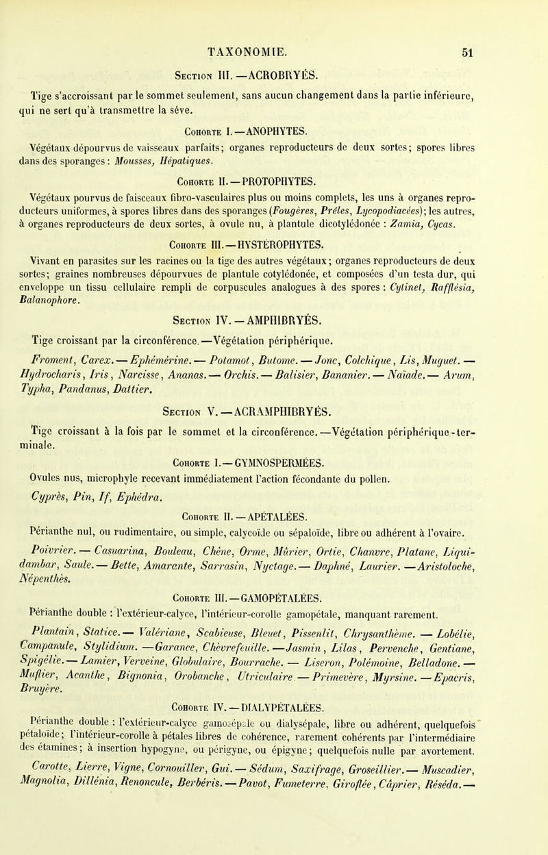 Section MI. —ACROBRYÉS. Tige s'accroissant par le sommet seulement, sans aucun changement dans la partie inférieure, qui ne sert qu'à transmettre la séve. Cohorte I.—ANOPHYTES. Végétaux dépourvus de vaisseaux parfaits; organes reproducteurs de deux sortes; spores libres dans des sporanges: Mousses, Hépatiques. Cohorte II. —PROTOPHYTES. Végétaux pourvus de faisceaux fibro-vasculaires plus ou moins complets, les uns à organes repro- ducteurs uniformes, à spores libres dans des sporanges (Fougères, Prèles, Lycopodiacées); les autres, à organes reproducteurs de deux sortes, à ovule nu, à plantule dicotylédonée : Zamia, Cycas. Cohorte III. —HYSTËROPHYTES. Vivant en parasites sur les racines ou la tige des autres végétaux ; organes reproducteurs de deux sortes; graines nombreuses dépourvues de plantule cotylédonée, et composées d'un testa dur, qui enveloppe un tissu cellulaire rempli de corpuscules analogues à des spores : Cyiinet, Rafflésia, Balanophore. Section IV. - AMPHIBRYÉS. Tige croissant par la circonférence.—Végétation périphérique. Froment, Carex. — Ephémérine. — Potarnot, Butome. — Jonc, Colchique, Lis, Muguet.— Hydrocharis, Iris, Narcisse, Ananas.— Orchis. — Balisier, Bananier. — Naïade.— Arum, Typha, Pandanus, Dattier. Section V. — ACRAMPHIBRYÉS. Tige croissant à la fois par le sommet et la circonférence.—Végétation périphérique-ter- minale. Cohorte I.—GYMNOSPERMÉES. Ovules nus, microphyle recevant immédiatement l'action fécondante du pollen. Cyprès, Pin, If, Ephédra. Cohorte II. — APÉTALÉES. Périanthe nul, ou rudimentaire, ou simple, calycoïde ou sépaloïde, libre ou adhérent à l'ovaire. Poivrier. — Casuarina, Bouleau, Chêne, Orme, Mûrier, Ortie, Chanvre, Platane, Liqui- dambar, Saule. — Bette, Amarante, Sarrasin, Nyctage. — Daphnê, Laurier.—Aristoloche, Népenthès. Cohorte III.—GAMOPÉTALÉES. Périanthe double : l'extérieur-calyce, l'intérieur-corolle gamopétale, manquant rarement. Plantain, Statice.— Valériane, Scabieuse, Bleuet, Pissenlit, Chrysanthème. —Lobélie, Campanule, Stylidium. —Garance, Chèvrefeuille.—Jasmin , Lilas, Pervenche, Gentiane, S pi gêlie. — Lamier, Verveine, Globulaire, Bourrache. — Liseron, Polémoine, Belladone.— Muflier, Acanthe, Bignonia, Orobanche, Utriculaire.— Primevère, Myrsine. —Epacris, Bruyère. Cohorte IV. — DIALYPÉTALÉES. Périanthe double : l'extérieur-calyce gamosépale ou dialysépale, libre ou adhérent, quelquefois pétaloïde ; l'intérieur-corolle à pétales libres de cohérence, rarement cohérents par l'intermédiaire des étamines ; à insertion hypogyne, ou périgyne, ou épigyne ; quelquefois nulle par avortement. Carotte, Lierre, Vigne, Cornouiller, Gui. — Sédum, Saxifrage, Groseillier. — Muscadier, Magnolia, Dillénia,Benoncule, Berbéris.— Pavot, Fumeterre, Giroflée, Câprier, Réséda.—