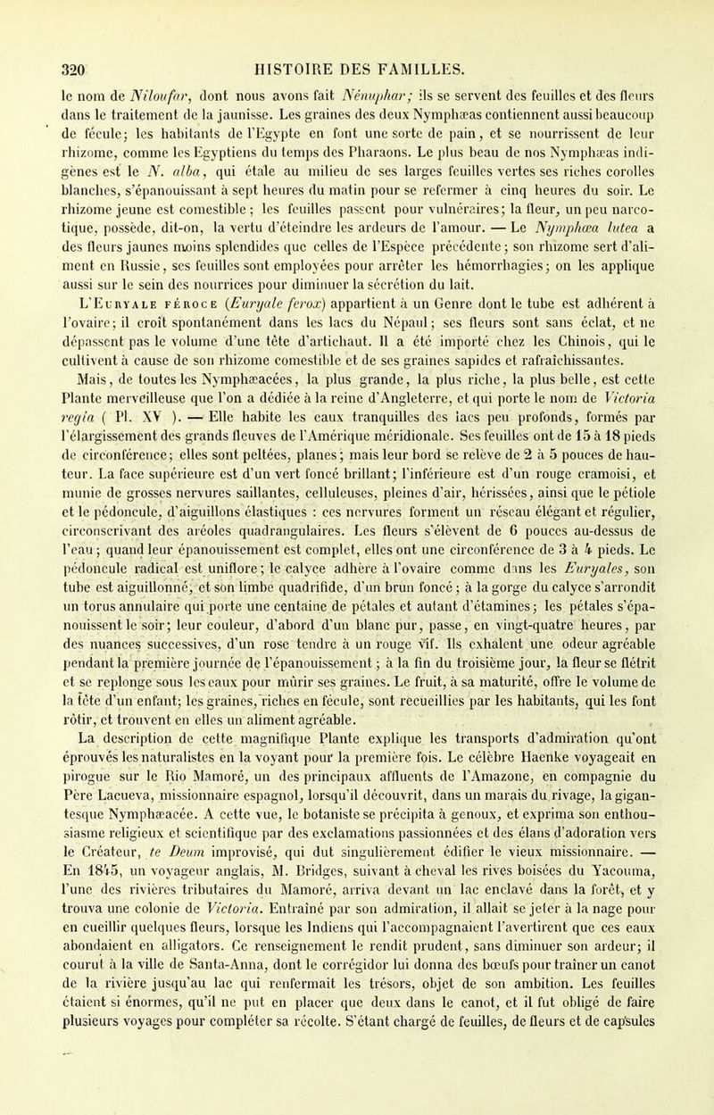 le nom de Niloufar, dont nous avons fait Nénuphar; ils se servent des feuilles et des fleurs dans le traitement de la jaunisse. Les graines des deux Nymphaeas contiennent aussi beaucoup de fécule; les habitants de l'Egypte en font une sorte de pain, et se nourrissent de leur rhizome, comme les Egyptiens du temps des Pharaons. Le plus beau de nos Nymphœas indi- gènes est le N. alba, qui étale au milieu de ses larges feuilles vertes ses riches corolles blanches, s'épanouissant à sept heures du matin pour se refermer à cinq heures du soir. Le rhizome jeune est comestible ; les feuilles passent pour vulnéraires; la fleur, un peu narco- tique, possède, dit-on, la vertu d'éteindre les ardeurs de l'amour. — Le Nymphœa lutea a des fleurs jaunes moins splendides que celles de l'Espèce précédente ; son rhizome sert d'ali- ment en Russie, ses feuilles sont employées pour arrêter les hémorrhagies; on les applique aussi sur le sein des nourrices pour diminuer la sécrétion du lait. L'Euryale féroce (Euryale ferox) appartient à un Genre dont le tube est adhérent à l'ovaire; il croît spontanément dans les lacs du Népaul ; ses fleurs sont sans éclat, et ne dépassent pas le volume d'une tête d'artichaut. Il a été importé chez les Chinois, qui le cultivent à cause de son rhizome comestible et de ses graines sapides et rafraîchissantes. Mais, de toutes les Nympheeacées, la plus grande, la plus riche, la plus belle, est cette Plante merveilleuse que l'on a dédiée à la reine d'Angleterre, et qui porte le nom de Victoria regia ( Pl. XV ). — Elle habite les eaux tranquilles des lacs peu profonds, formés par l'élargissement des grands fleuves de l'Amérique méridionale. Ses feuilles ont de 15 à 18 pieds de circonférence; elles sont peltées, planes; mais leur bord se relève de 2 à 5 pouces de hau- teur. La face supérieure est d'un vert foncé brillant; l'inférieure est d'un rouge cramoisi, et munie de grosses nervures saillantes, celluleuses, pleines d'air, hérissées, ainsi que le pétiole et le pédoncule, d'aiguillons élastiques : ces nervures forment un réseau élégant et régulier, circonscrivant des aréoles quadrangulaires. Les fleurs s'élèvent de 6 pouces au-dessus de Peau ; quand leur épanouissement est complet, elles ont une circonférence de 3 à 4 pieds. Le pédoncule radical est uniflore ; le calyce adhère à l'ovaire comme d:uis les Euryales, son tube est aiguillonné, et son limbe quadrifide, d'un brun foncé ; à la gorge du calyce s'arrondit un torus annulaire qui porte une centaine de pétales et autant d'étamines; les pétales s'épa- nouissent le soir; leur couleur, d'abord d'un blanc pur, passe, en vingt-quatre heures, par des nuances successives, d'un rose tendre à un rouge vif. Ils exhalent une odeur agréable pendant la première journée de l'épanouissement ; à la fin du troisième jour, la fleur se flétrit et se replonge sous les eaux pour mûrir ses graines. Le fruit, à sa maturité, offre le volume de la tête d'un enfant; les graines,riches en fécule, sont recueillies par les habitants, qui les font rôtir, et trouvent en elles un aliment agréable. La description de cette magnifique Plante explique les transports d'admiration qu'ont éprouvés les naturalistes en la voyant pour la première fois. Le célèbre Haenke voyageait en pirogue sur le Rio Mamoré, un des principaux affluents de l'Amazone, en compagnie du Père Lacueva, missionnaire espagnol, lorsqu'il découvrit, dans un marais du rivage, la gigan- tesque Nymphœacée. A cette vue, le botaniste se précipita à genoux, et exprima son enthou- siasme religieux et scientifique par des exclamations passionnées et des élans d'adoration vers le Créateur, te Deum improvisé, qui dut singulièrement édifier le vieux missionnaire. — En 1845, un voyageur anglais, M. Rridges, suivant achevai les rives boisées du Yacouma, l'une des rivières tributaires du Mamoré, arriva devant un lac enclavé dans la forêt, et y trouva une colonie de Victoria. Entraîné par son admiration, il allait se jeter à la nage pour en cueillir quelques fleurs, lorsque les Indiens qui l'accompagnaient l'avertirent que ces eaux abondaient en alligators. Ce renseignement le rendit prudent, sans diminuer son ardeur; il courut à la ville de Santa-Anna, dont le corrégidor lui donna des bœufs pour traîner un canot de la rivière jusqu'au lac qui renfermait les trésors, objet de son ambition. Les feuilles étaient si énormes, qu'il ne put en placer que deux dans le canot, et il fut obligé de faire plusieurs voyages pour compléter sa récolte. S'étant chargé de feuilles, de fleurs et de capsules