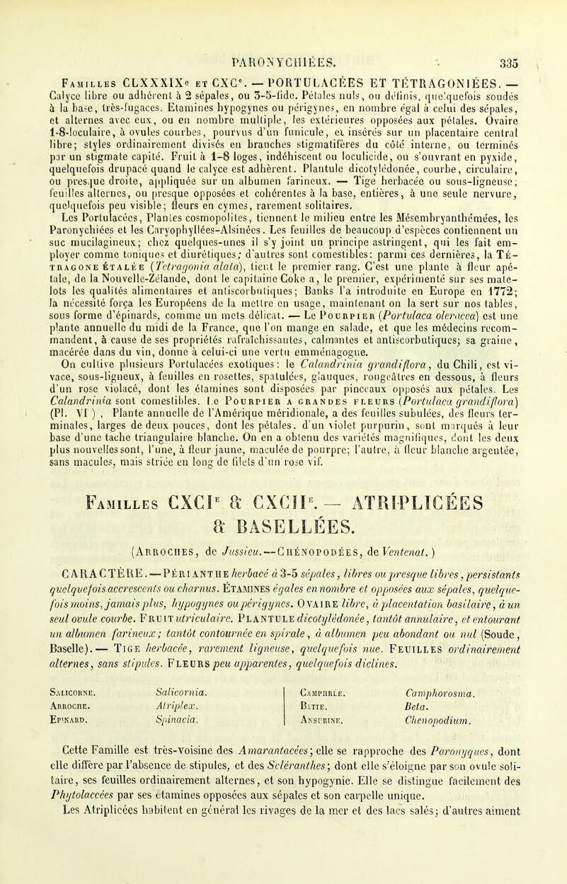 Familles CLXXX1X et CXC\ — PORTULACÉES ET TÉTRAGON1ÉES. — Calyce libre ou adhérent à 2 sépales, ou 3-5-fide. Pétales nuls, ou définis, quelquefois soudés à la base, très-fugaces. Etamines hypogyncs ou périgynes, en nombre égal à celui des sépales, et alternes avec eux, ou en nombre multiple, les extérieures opposées aux pétales. Ovaire 1-8-Ioculaire, à ovules courbes, pourvus d'un funicule, cl insérés sur un placentaire central libre; styles ordinairement divisés en branches stigmatifères du côté interne, ou terminés par un stigmate capité. Fruit à 1-8 loges, indéhiscent ou loculicide, ou s'ouvrant en pyxide, quelquefois drupacé quand le calyce est adhèrent. Plantule dicotylédonée, courbe, circulaire, ou presque droite, appliquée sur un albumen farineux. — Tige herbacée ou sous-ligneuse; feuilles alternes, ou presque opposées et cohérentes à la base, entières, à une seule nervure, quelquefois peu visible; fleurs en cymes, rarement solitaires. Les Portulacées, Planles cosmopolites, tiennent le milieu entre les Mésembryanthémées, les Paronychiées et les Caryophyllées-Alsinécs. Les feuilles de beaucoup d'espèces contiennent un suc mucilagineux; chez quelques-unes il s'y joint un principe astringent, qui les fait em- ployer comme toniques et diurétiques; d'autres sont comestibles: parmi ces dernières, la Té- tragone étalée (Tetragonia alata), lient le premier rang. C'est une plante à fleur apé- tale, de la Nouvelle-Zélande, dont le capitaine Coke a, le premier, expérimenté sur ses mate- lots les qualités alimentaires et antiscorbutiques; Banks l'a introduite en Europe en 1772; la nécessité força les Européens de la mettre en usage, maintenant on la sert sur nos tables, sous forme d'épinards, comme un mets délicat. — Le Pourpier (Portulaca oleracca) est une plante annuelle du midi de la France, que l'on mange en salade, et que les médecins recom- mandent, à cause de ses propriétés rafraîchissantes, calmantes et antiscorbutiques; sa graine, macérée dans du vin, donne à celui-ci une vertu emménagogue. On cultive plusieurs Portulacées exotiques: le Calandrinia grundiflora, du Chili, est vi- vace, sous-ligneux, à feuilles en rosettes, spatulces, glauques, rougeâtres en dessous, à fleurs d'un rose violacé, dont les étamines sont disposées par pinceaux opposés aux pétales. Les Calandrinia sont comestibles. I.c Pourpier a grandes fleurs (Portulaca grandiflora) (Pl. VI ) , Plante annuelle de l'Amérique méridionale, a des feuilles subulées, des fleurs ter- minales, larges de deux pouces, dont les pétales, d'un violet purpurin, sont marqués à leur base d'une tache triangulaire blanche. On en a oblenu des variétés magnifiques, dont les deux plus nouvelles sont, l'une, à fleur jaune, maculée de pourpre; l'autre, à fleur blanche argentée, sans macules, mais striée en long de filets d'un rose vif. Familles CXCIe GXCïIE. — ATRIPLICÉES a BASELLÉES. (Arroches, de Jussieu. — Chénopodées, de Ventcnai. ) CARACTÈRE. — Périantiie herbacé à 3-5 sépales, libres ou presque libres, persistants quelquefoisaccrescents ou charnus. Étamines égales ennombre et opposées aux sépales, quelque- fois moins, jamais plus, hypogynes ou périgynes. Ovaire libre, à placentation basilai?'e, àun seul ovule courbe. F rvit utriculaire. Plantule dicotylédonée, tantôt annulaire, et entourant un albumen farineux; tantôt contournée en spirale, à albumen peu abondant ou nul (Soude, Baselle).— Tige herbacée, rarement ligneuse, quelquefois nue. Feuilles ordinairement alternes, sans stipules. Fleurspeu apparentes, quelquefois diclines. Salicorne. Salicornia. Amoche. Alriplex. Ep'nard. Spinacia. Camphrée. Camphorosma. Bette. Beta. Aksbbihe. Chenopodium. Cette Famille est très-voisine des Amarantacées; elle se rapproche des Paronyques, dont elle diffère par l'absence de stipules, et des Scléranthes; dont elle s'éloigne par son ovule soli- taire, ses feuilles ordinairement alternes, et son hypogynie. Elle se distingue facilement des Phytolaccées par ses ttamines opposées aux sépales et son carpelle unique. Les Atriplicées habitent en général les rivages de la mer et des lacs salés; d'autres aiment