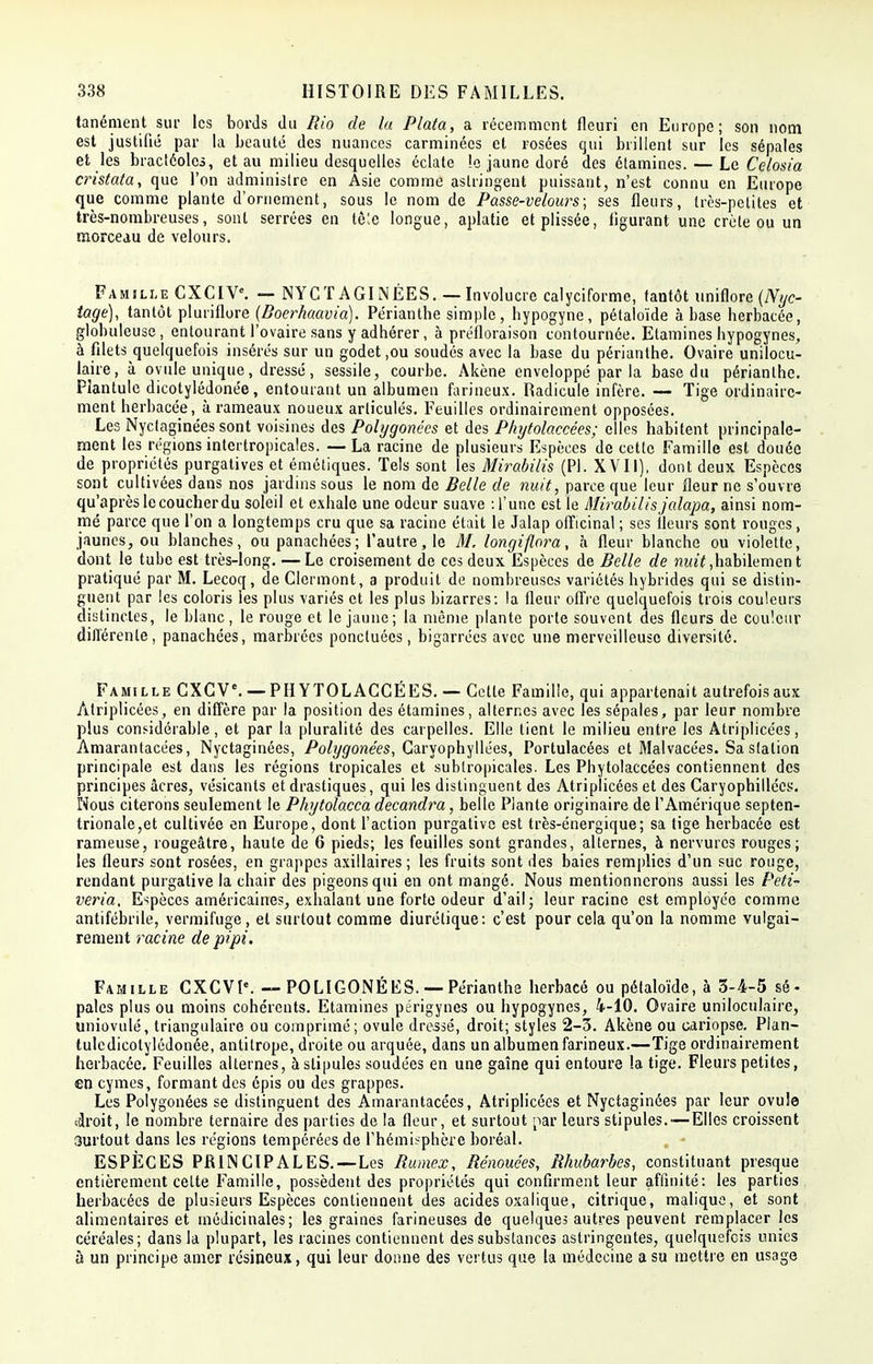 tanémeot sur les bords du Rio de lu Plata, a récemment fleuri en Europe; son nom est justifié par la beauté des nuances carminées et rosées qui brillent sur les sépales et les bractéoles, et au milieu desquelles éclate !c jaune doré des étamines. — Le Celosia cristata, que l'on administre en Asie comme astringent puissant, n'est connu en Europe que comme plante d'ornement, sous le nom de Passe-velours; ses fleurs, très-petites et très-nombreuses, sont serrées en tôle longue, aplatie etplissée, figurant une crête ou un morceau de velours. Famille CXCIV*. — NYCT AGI NÉES. — Involucre calyciforme, tantôt uniflore (Nijc- tage), tantôt pluriflore (Boerkaavia). Périantbe simple, hypogyne, pétaloïde à base herbacée, globuleuse, entourant l'ovaire sans y adhérer, à préfloraison contournée. Etamines hypogynes, à filetsquelquefois insérés sur un godet,ou soudés avec la base du périanthe. Ovaire unilocu- laire, à ovule unique, dressé, sessile, courbe. Akène enveloppé par la base du périanthe. Plantule dicotylédonée, entourant un albumen farineux. Radicule infère. — Tige ordinaire- ment herbacée, à rameaux noueux articulés. Feuilles ordinairement opposées. Les Nyctaginées sont voisines des Polygonécs et des Phytolaccées; elles habitent principale- ment les régions intertropicales. — La racine de plusieurs Espèces de cette Famille est douée de propriétés purgatives et émétiques. Tels sont les Mirabilis (Pl. XVII), dont deux Espèces sont cultivées dans nos jardins sous le nom de Belle de nuit, parce que leur fleur ne s'ouvre qu'après le coucher du soleil et exhale une odeur suave -.l'une est le Mirabilis jalapa, ainsi nom- mé parce que l'on a longtemps cru que sa racine était le Jalap officinal ; ses fleurs sont rouges, jaunes, ou blanches, ou panachées; l'autre, le M, longiflora, à fleur blanche ou violette, dont le tube est très-long. — Le croisement de ces deux Espèces de Belle de nuit,habilement pratiqué par M. Lecoq, de Clermont, a produit de nombreuses variétés hybrides qui se distin- guent par les coloris les plus variés et les plus bizarres: la fleur offre quelquefois trois couleurs distinctes, le blanc, le rouge et le jaune; la même plante porte souvent des fleurs de couleur différente, panachées, marbrées ponctuées, bigarrées avec une merveilleuse diversité. Famille CXGVe. — PHYTOLACCÉES. — Cette Famille, qui appartenait autrefois aux Àtriplicées, en diffère par la position des étamines, alternes avec les sépales, par leur nombre plus considérable, et par la pluralité des carpelles. Elle tient le milieu entre les Atriplicées, Amarantacées, Nyctaginées, Polygonées, Caryophyllées, Portulacées et Malvacées. Sa station principale est dans les régions tropicales et subtropicales. Les Phytolaccées contiennent des principes acres, vésicants et drastiques, qui les distinguent des Atriplicées et des Caryophillécs. Nous citerons seulement le Phytolacca decandra, belle Plante originaire de l'Amérique septen- trionale,et cultivée en Europe, dont l'action purgative est très-énergique; sa tige herbacée est rameuse, rougeâtre, haute de 6 pieds; les feuilles sont grandes, alternes, à nervures rouges; les fleurs sont rosées, en grappes axillaires ; les fruits sont des baies remplies d'un suc rouge, rendant purgative la chair des pigeons qui en ont mangé. Nous mentionnerons aussi les Peti- veria. Espèces américaines, exhalant une forte odeur d'ail; leur racine est employée comme antifébrile, vermifuge, et surtout comme diurétique: c'est pour cela qu'on la nomme vulgai- rement racine de pipi. Famille CXCVl'. — POLIGONÉES. — Périanthe herbacé ou pétaloïde, à 5-4-5 sé- pales plus ou moins cohérents. Etamines périgynes ou hypogynes, 4-10. Ovaire uniloculaire, uniovulé, triangulaire ou comprimé; ovule dressé, droit; styles 2-3. Akène ou cariopse. Plan- tuledicotylédonée, antitrope, droite ou arquée, dans un albumen farineux.—Tige ordinairement herbacée. Feuilles alternes, à stipules soudées en une gaîne qui entoure la tige. Fleurs petites, en cymes, formant des épis ou des grappes. Les Polygonées se distinguent des Amarantacées, Atriplicées et Nyctaginées par leur ovule adroit, le nombre ternaire des parties de la fleur, et surtout par leurs stipules.-—Elles croissent Surtout dans les régions tempérées de l'hémisphère boréal. ESPÈCES PRINCIPALES.—Les Rumex, Rénouées, Rhubarbes, constituant presque entièrement celte Famille, possèdent des propriétés qui confirment leur affinité: les parties herbacées de plusieurs Espèces contiennent des acides oxalique, citrique, malique, et sont alimentaires et médicinales; les graines farineuses de quelques autres peuvent remplacer les céréales; dans la plupart, les racines contiennent des substances astringentes, quelquefois unies à un principe amer résineux, qui leur donne des vertus que la médecine a su mettre en usage