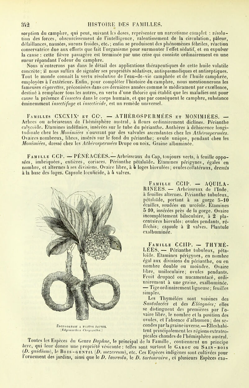 sorption du camphre, qui peut, suivant les doses, représenter un narcotisme complet : résolu- tion des forces, obscurcissement de l'intelligence, ralentissement de la circulation, pâleur, défaillances, nausées, sueurs froides, etc.; enfin se produisent des phénomènes fébriles, réaction conservatrice due aux efforts que fait l'organisme pour surmonter l'effet sédatif, et en expulser la cause : cette fièvre passagère est terminée par une crise qui consiste ordinairement en une sueur répandant l'odeur du camphre. Nous n'entrerons pas dans le détail des applications thérapeutiques de cette huile volatile concrète; il nous suffira de signaler ses propriétés sédatives, antispasmodiques et antiseptiques. Tout le monde connaît la vertu résolutive de l'eau-de-vie camphrée et de l'huile camphrée, employées à l'extérieur. Enfin, pour compléter l'histoire du camphre, nous mentionnerons les fameuses cigarettes, préconisées dans ces dernières années comme le médicament par excellence, destiné à remplacer tous les autres, en vertu d'une théorie qui établit que les maladies ont pour cause la présence d'insectes dans le corps humain, et que par conséquent le camphre, substance éminemment insectifuge et insecticide, est un remède universel. Familles CXCXIX6 et CO. — ATHÉROSPERMÉES et MONIMIÉES. — Arbres ou arbrisseaux de l'hémisphère austral, à fleurs ordinairement diclines. Périanthe calycoïde. Etamines indéfinies, insérées sur le tube du périanthe. Anthères à déhiscence longi- tudinale chez les Monimiées s'ouvrant par des valvules ascendantes chez les Athérospermées. Ovaires nombreux, libres, insérés sur le fond du périanthe; ovule unique, pendant chez les Monimiées, dressé chez les Athérospermées Drupe ou noix. Graine albuminée. Famille CCF. — PÉNÉACÉES. — Arbrisseaux du Cap, toujours verts, à feuille oppo- sées, imbriquées, entières, coriaces. Périanthe pétaloïde. Etamines périgynes, égales en nombre, et alternes à ses divisions. Ovaire libre, à 4 loges biovulées; ovules collatéraux, dressés à la base des loges. Capsule loculicide, à 4 valves. Famille CCIK — AQUILA- RINÉES. — Arbrisseaux de l'Inde, à feuilles alternes. Périanthe tubuleux, pétaloïde, portant à sa gorge 5-10 écailles, soudées en urcéole. Etamines 5-10, insérées près de la gorge. Ovaire incomplètement biloculaire, à 2 pla- centaires biovulés; ovules pendants, ré- fléchis; capsule à 2 valves. Plantule exalbuminée. Famille CCIIK ~ THYMÉ- LEES.— Périanthe tubuleux, péta- loïde. Étamines périgynes, en nombre égal aux divisions du périanthe, ou en nombre double ou moindre. Ovaire libre, uniloculaire; ovules pendants. Fruit drupacé ou nucamentacé, ordi- nairement à une graine, exalbuminée. — Tigeordinairementligneuse; feuilles simples. Les Thymélées sont voisines des Santolacées et des Eléagnées; elles se distinguent des premières par l'o- vaire libre, le nombre et la position des ovules, et l'absence d'albumen; des se- condes par lagraineinverse.—Elleshabi- tent principalement les régions extratro- picales chaudes de l'hémisphère austral. Toutes les Espèces du Genre Daphne, le principal de la Famille, contiennent un principe àcre, qui leur donne une propriété vésicante : telles sont surtout le Garou ou Sain-bois {D. gnidium), le Bois-gentil [D. mezereum), etc. Ces Espèces indigènes sont cultivées pour l'ornement des jardins, ainsi que le D. Iauréola, le D, tartonraira , et plusieurs Espèces exo- EDornonTiili! A PT.rtîiiS JAUNES. (Edgetoorlhia Chrysaiitha.)