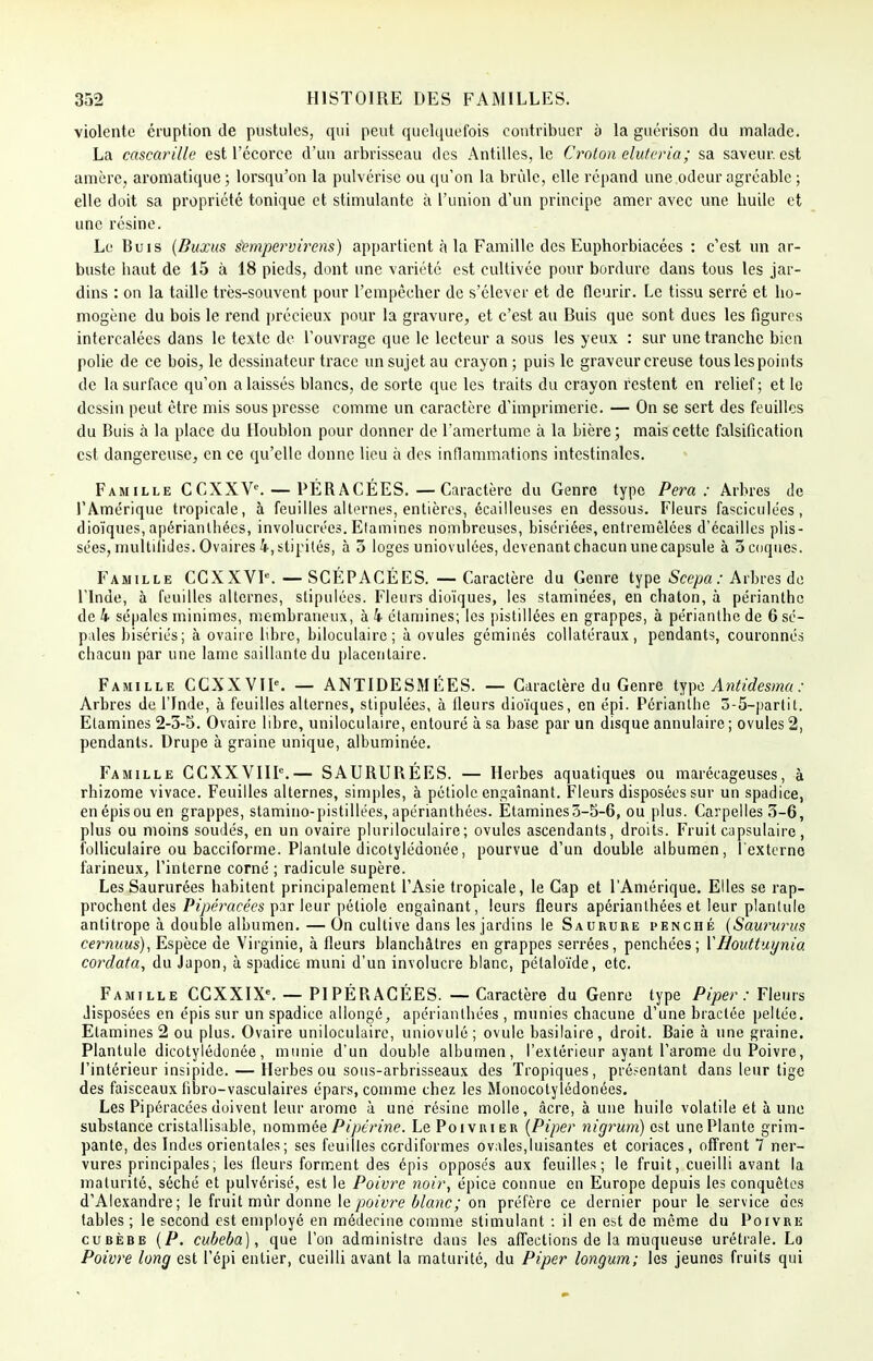 violente éruption de pustules, qui peut quelquefois contribuer à la guérison du malade. La cascarille est l'écorce d'un arbrisseau des Antilles, le Croton eluteria; sa saveur, est amère, aromatique ; lorsqu'on la pulvérise ou qu'on la brûle, elle répand une odeur agréable ; elle doit sa propriété tonique et stimulante à l'union d'un principe amer avec une huile et une résine. Le Buis (Buxus iempermreris) appartient à la Famille des Euphorbiacées : c'est un ar- buste baut de 15 à 18 pieds, dont une variété est cultivée pour bordure dans tous les jar- dins : on la taille très-souvent pour l'empêcher de s'élever et de fleurir. Le tissu serré et ho- mogène du bois le rend précieux pour la gravure, et c'est au Buis que sont dues les figures intercalées dans le texte de l'ouvrage que le lecteur a sous les yeux : sur une tranche bien polie de ce bois, le dessinateur trace un sujet au crayon ; puis le graveur creuse tous les points de la surface qu'on a laissés blancs, de sorte que les traits du crayon restent en relief; et le dessin peut être mis sous presse comme un caractère d'imprimerie. — On se sert des feuilles du Buis à la place du Houblon pour donner de l'amertume à la bière; mais cette falsification est dangereuse, en ce qu'elle donne lieu à des inflammations intestinales. Famille CCXXVe. — PÉRACÉES.—Caractère du Genre type Pera : Arbres de l'Amérique tropicale, à feuilles alternes, entières, écailleuses en dessous. Fleurs fasciculécs, dioïques, apérianlhées, involucrées. Etamines nombreuses, bisériées, entremêlées d'écaillés plis - sées, multilides. Ovaires 4, slipités, à 3 loges uniovulées, devenant chacun unecapsule à 3 coques. Famille CCXXVK —SGÉPACÉES. — Caractère du Genre type Scepa: Arbres de l'Inde, à feuilles alternes, stipulées. Fleurs dioïques, les staminées, en chaton, à périanthe de 4 sépales minimes, membraneux, à 4 étamines; les pistillées en grappes, à périanthe de 6 sé- pales bisériés; à ovaire libre, biloculaire; à ovules géminés collatéraux, pendants, couronnés chacun par une lame saillante du placentaire. Famille CCXXVIF. — ANTIDESMÉES. — Caractère du Genre tfpe Antidesma : Arbres de l'Inde, à feuilles alternes, stipulées, à lleurs dioïques, en épi. Périanthe 3-5-partit. Elamines 2-3-5. Ovaire libre, uniloculaire, entouré à sa base par un disque annulaire; ovules2, pendants. Drupe à graine unique, albuminée. Famille CCXXVIIIe.— SAURURÉES. — Herbes aquatiques ou marécageuses, à rhizome vivace. Feuilles alternes, simples, à pétiole engainant. Fleurs disposées sur un spadice, enépisou en grappes, stamino-pistillées, apérianlhées. Etamines3-5-6, ou plus. Carpelles 3-6, plus ou moins soudés, en un ovaire pluriloculaire; ovules ascendants, droits. Fruit capsulaire, folliculaire ou bacciforme. Planlule dicotylédonée, pourvue d'un double albumen, l'externe farineux, l'interne corné ; radicule supère. Les Saururées habitent principalement l'Asie tropicale, le Cap et l'Amérique. Elles se rap- prochent des Pipêracêes par leur pétiole engainant, leurs fleurs apérianthées et leur planlule antitrope à double albumen. — On cultive dans les jardins le Saurure penché (Saururus cernuus), Espèce de Virginie, à fleurs blanchâtres en grappes serrées, penchées; YHouttuynio. cordata, du Japon, à spadice muni d'un involucre blanc, pélaloïde, etc. Famille CCXXIX6. — PIPÉRACÉES. — Caractère du Genre type Piper : Fleurs disposées en épis sur un spadice allongé, apérianthées , munies chacune d'une bractée peltée. Etamines 2 ou plus. Ovaire uniloculaire, uniovulé; ovule basilaire, droit. Baie à une graine. Plantule dicotylédonée, munie d'un double albumen, l'extérieur ayant l'arôme du Poivre, l'intérieur insipide. — Herbes ou sous-arbrisseaux des Tropiques, présentant dans leur tige des faisceaux fibro-vasculaires épars, comme chez les Monocotylédonées. Les Pipéracées doivent leur arôme à une résine molle, âcre, à une huile volatile et aune substance cristallisable, nommée Pipérine. Le Poivrier (Piper nigrum) est une Plante grim- pante, des Indes orientales; ses feuilles cordiformes ovales,luisantes et coriaces, offrent 7 ner- vures principales; les fleurs forment des épis opposés aux feuilles; le fruit, cueilli avant la maturité, séché et pulvérisé, est le Poivre noir, épice connue en Europe depuis les conquêtes d'Alexandre; le fruit mûr donne le poivre blanc; on préfère ce dernier pour le service des tables ; le second est employé en médecine comme stimulant : il en est de même du Poivre cubèbe (P. cubeba), que l'on administre dans les affections de la muqueuse urétrale. Lo Poivre long est l'épi entier, cueilli avant la maturité, du Piper longum; les jeunes fruits qui