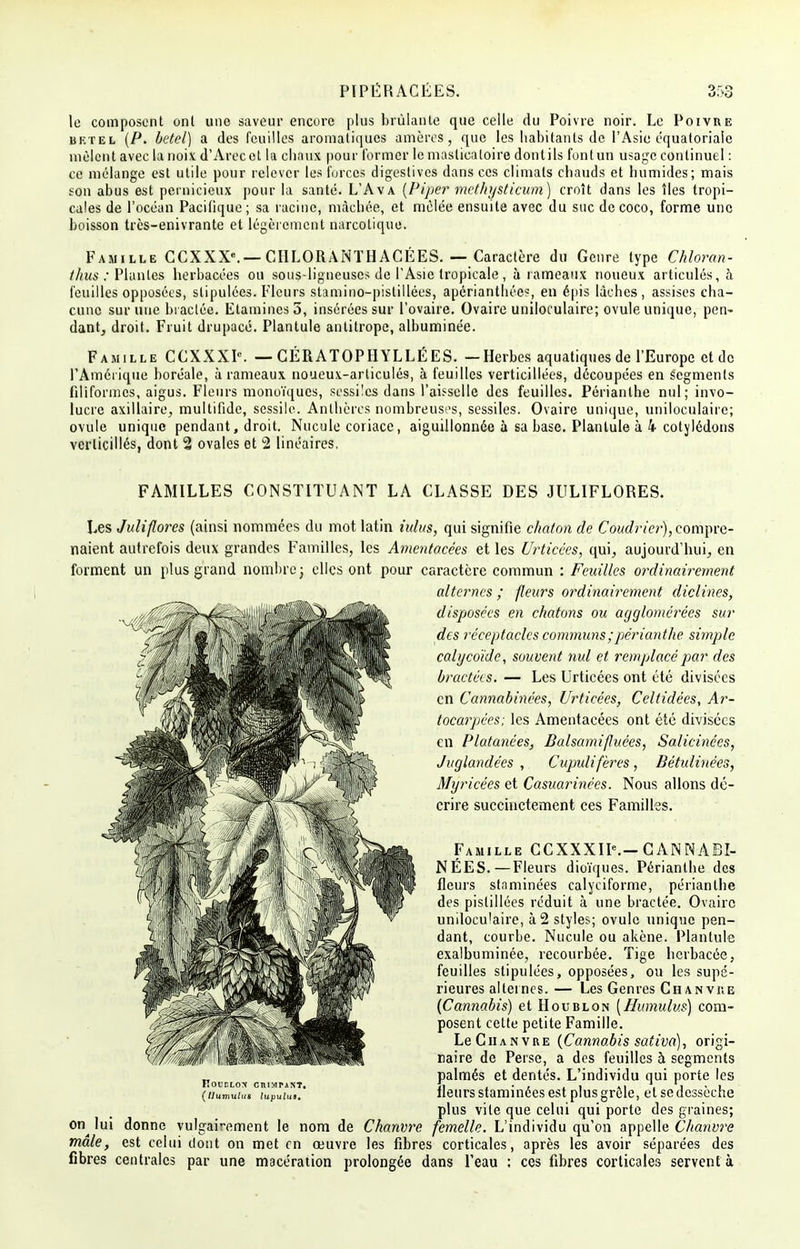 PIPÉRACÉES. le composent ont une saveur encore plus brûlante que celle du Poivre noir. Le Poivre bétel (P. bétel) a des feuilles aromatiques amères, que les habitants de l'Asie équatoriale mêlent avec la noix d'Arec et la chnux pour former le masticatoire donlils font un usage continuel : ce mélange est utile pour relever les forces digestives dans ces climats chauds et humides; mais son abus est pernicieux pour la santé. L'A va [Piper methysticum) croît dans les îles tropi- cales de l'océan Pacifique; sa racine, mâchée, et mêlée ensuite avec du suc de coco, forme une boisson très-enivrante et légèrement narcotique. Famille CCXXXe.—CIILORANTH ACÉES. — Caractère du Genre type Chloran- thus : Plantes herbacées ou sous-ligneuses de l'Asie tropicale, à rameaux noueux articulés, à feuilles opposées, stipulées. Fleurs stamino-pistillées, apérianthée?, en épis lâches, assises cha- cune sur une bradée. Etamines5, insérées sur l'ovaire. Ovaire uniloculaire; ovule unique, pen- dant,, droit. Fruit drupacé. Plantule antitrope, albuminée. Famille CCXXXP. — GÉRATOPHYLLÉES. —Herbes aquatiques de l'Europe et de l'Amérique boréale, à rameaux noueux-articulés, à feuilles verticillées, découpées en segments filiformes, aigus. Fleurs monoïques, sessilcs dans l'aisselle des feuilles. Périanthe nul; invo- lucre axillaire, multifide, sessile. Anthères nombreuses, sessiles. Ovaire unique, uniloculaire; ovule unique pendant, droit. Nucule coriace, aiguillonnée à sa base. Plantule à 4 cotylédons verlicillés, dont 2 ovales et 2 linéaires, FAMILLES CONSTITUANT LA CLASSE DES JULIFLORES. Les Juliflorcs (ainsi nommées du mot latin iulus, qui signifie chaton de Coudrier), compre- naient autrefois deux grandes Familles, les Amentacées et les Urticées, qui, aujourd'hui, en forment un plus grand nombre; elles ont pour caractère commun : Feuilles ordinairement alternes; fleurs ordinairement diciines, disposées en chatons ou agglomérées sur des réceptacles communs ; périanthe simple calycoïde, souvent nul et remplacé par des bractées. — Les Urticées ont été divisées en Cannabinées, Urticées, Celtidées, Ar- tocarpées; les Amentacées ont été divisées en Platanées, Balsamifluées, Salicinées, Juglandées , Cupulifères, Bétulinécs, Myricées et Casuarinées. Nous allons dé- crire succinctement ces Familles. Famille C C XXXIIe.— G AN NÀ BI- NÉES.— Fleurs dioïques. Périanthe des fleurs stnminées calyciforme, périanthe des pistiliées réduit à une bractée. Ovaire unilocu'aire, à 2 styles; ovule unique pen- dant, courbe. Nucule ou akène. Plantule exalbuminée, recourbée. Tige herbacée, feuilles stipulées, opposées, ou les supé- rieures alternes. — Les Genres Chanvre (Cannabis) et Houblon [Humulus) com- posent cette petite Famille. Le Chanvre (Cannabis sativd), origi- naire de Perse, a des feuilles à segments palmés et dentés. L'individu qui porte les fleurs staminées est plus grêle, et se dessèche plus vite que celui qui porte des graines; on^ lui donne vulgai-ement le nom de Chanvre, femelle. L'individu qu'on appelle Chanvre maie, est celui dont on met en oeuvre les fibres corticales, après les avoir séparées des fibres centrales par une macération prolongée dans l'eau : ces fibres corticales servent à FOUCLOS CÏUMPAKT. (llumulus lupulus.