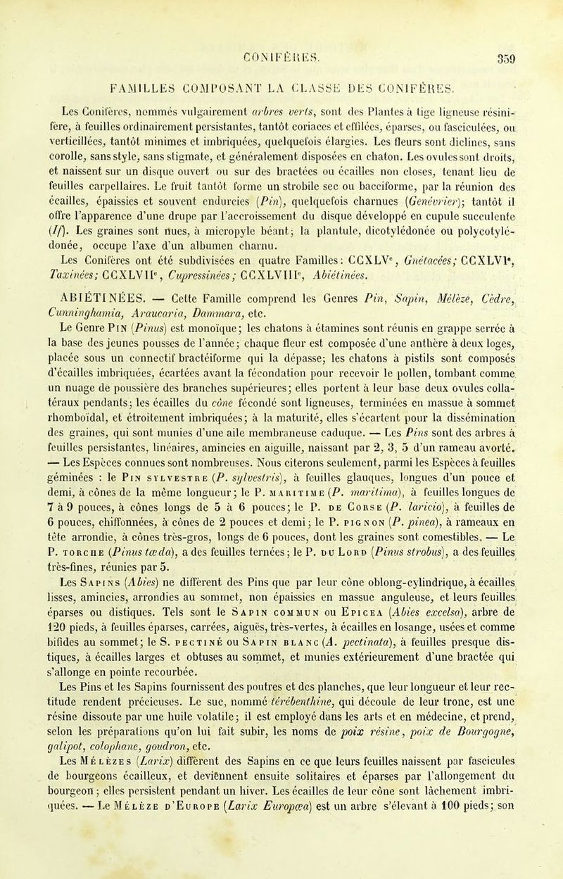 FAMILLES COMPOSANT LA CLASSE DES CONIFÈRES. Les Conifères, nommés vulgairement arbres verts, sont des Plantes à tige ligneuse résini- fère, à feuilles ordinairement persistantes, tantôt coriaces et effilées, éparses, ou fasciculées, on verticillécs, tantôt minimes et imbriquées, quelquefois élargies. Les fleurs sont diclines, sans corolle, sans style, sans stigmate, et généralement disposées en chaton. Les ovules sont droits, et naissent sur un disque ouvert ou sur des bractées ou écailles non closes, tenant lieu de feuilles carpellaires. Le fruit tantôt forme un strobile sec ou bacciforme, par la réunion des écailles, épaissies et souvent endurcies (Pin), quelquefois charnues (Genévrier); tantôt il offre l'apparence d'une drupe par l'accroissement du disque développé en cupule succulente (If). Les graines sont nues, à micropyle béant ; la plantule, dicotylédonée ou polycotylé- donée, occupe l'axe d'un albumen charnu. Les Conifères ont été subdivisées en quatre Familles: CCXLVC, Gnétacces; CCXLVP, Taxinées; CCXLVIP, Cupressinées; CCXLVIIP, Abiétinées. ABIÉTINÉES. — Cette Famille comprend les Genres Pin, Sapin, Mélèze, Cèdre, Cunninghamia, Araucaria, Dammara, etc. Le Genre Pin (Pinus) est monoïque; les chatons à étamines sont réunis en grappe serrée à la base des jeunes pousses de l'année; chaque fleur est composée d'une anthère à deux loges, placée sous un connectif bractéiforme qui la dépasse; les chatons à pistils sont composés d'écaillés imbriquées, écartées avant la fécondation pour recevoir le pollen, tombant comme un nuage de poussière des branches supérieures; elles portent à leur base deux ovules colla- téraux pendants; les écailles du cône fécondé sont ligneuses, terminées en massue à sommet rhomboïdal, et étroitement imbriquées; à la maturité, elles s'écartent pour la dissémination des graines, qui sont munies d'une aile membraneuse caduque. — Les Pins sont des arbres à feuilles persistantes, linéaires, amincies en aiguille, naissant par 2, 3, 5 d'un rameau avorté. — Les Espèces connues sont nombreuses. Nous citerons seulement, parmi les Espèces à feuilles géminées : le Pin sylvestre (P. sylvestris), à feuilles glauques, longues d'un pouce et demi, à cônes de la même longueur; le P. maritime (P. maritima), à feuilles longues de 7 à 9 pouces, à cônes longs de 5 à 6 pouces; le P. de Corse (P. laricio), à feuilles de 6 pouces, chiffonnées, à cônes de 2 pouces et demi; le P. pignon (P. pinea), à rameaux en tète arrondie, à cônes très-gros, longs de 6 pouces, dont les graines sont comestibles, — Le P. torche (Pinus teeda), a des feuilles ternées; le P. du Lord (Pinus strobus), a des feuilles très-fines, réunies par 5. Les Sapins (Abies) ne diffèrent des Pins que par leur cône oblong-cylindrique, à écailles lisses, amincies, arrondies au sommet, non épaissies en massue anguleuse, et leurs feuilles éparses ou distiques. Tels sont le Sapin commun ou Epicéa (Abies excclsa), arbre de 120 pieds, à feuilles éparses, carrées, aiguës, très-vertes, à écailles en losange, usées et comme bifides au sommet; le S. pectine ou Sapin blanc (A. pectinata), à feuilles presque dis- tiques, à écailles larges et obtuses au sommet, et munies extérieurement d'une bractée qui s'allonge en pointe recourbée. Les Pins et les Sapins fournissent des poutres et des planches, que leur longueur et leur rec- titude rendent précieuses. Le suc, nommé térébenthine, qui découle de leur tronc, est une résine dissoute par une huile volatile; il est employé dans les arts et en médecine, et prend, selon les préparations qu'on lui fait subir, les noms de poix résine, poix de Bourgogne, galipot, colophane, goudron, etc. Les Mélèzes (Larix) diffèrent des Sapins en ce que leurs feuilles naissent par fascicules de bourgeons écailleux, et deviennent ensuite solitaires et éparses par l'allongement du bourgeon; elles persistent pendant un hiver. Les écailles de leur cône sont lâchement imbri- quées. — Le Mélèze d'Europe (Larix Europœa) est un arbre s'élevant à 100 pieds; son