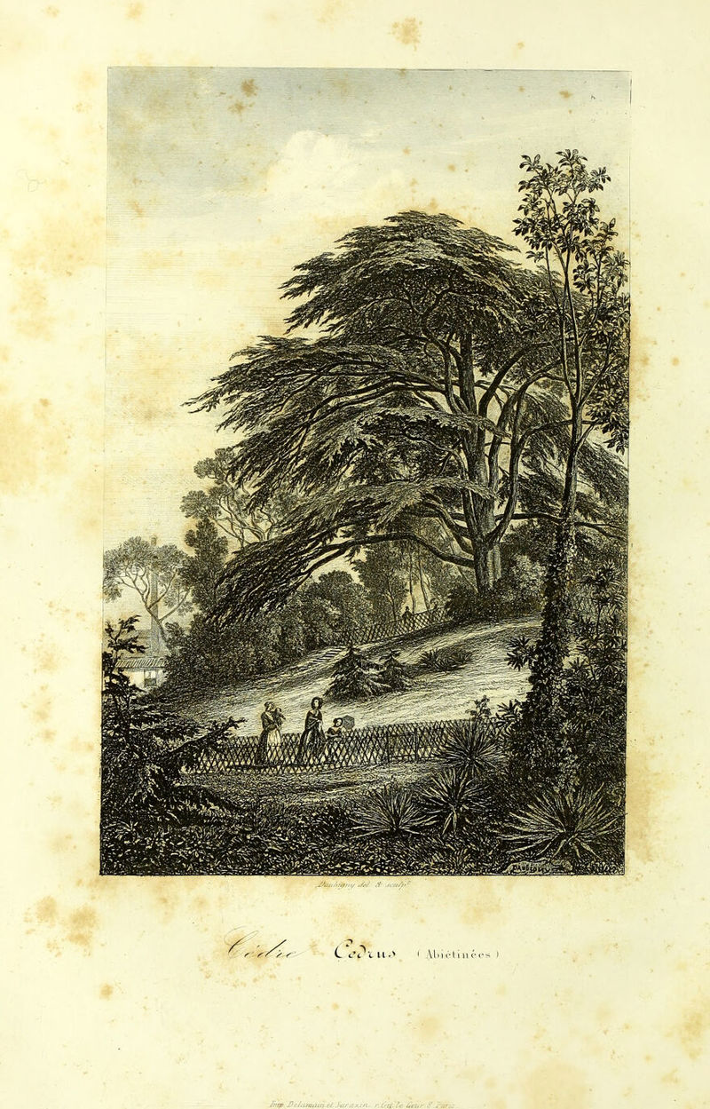 Jmp J)efitra(iut ei SaraKin- r.ô-i^lc ûeurS' ï'aris