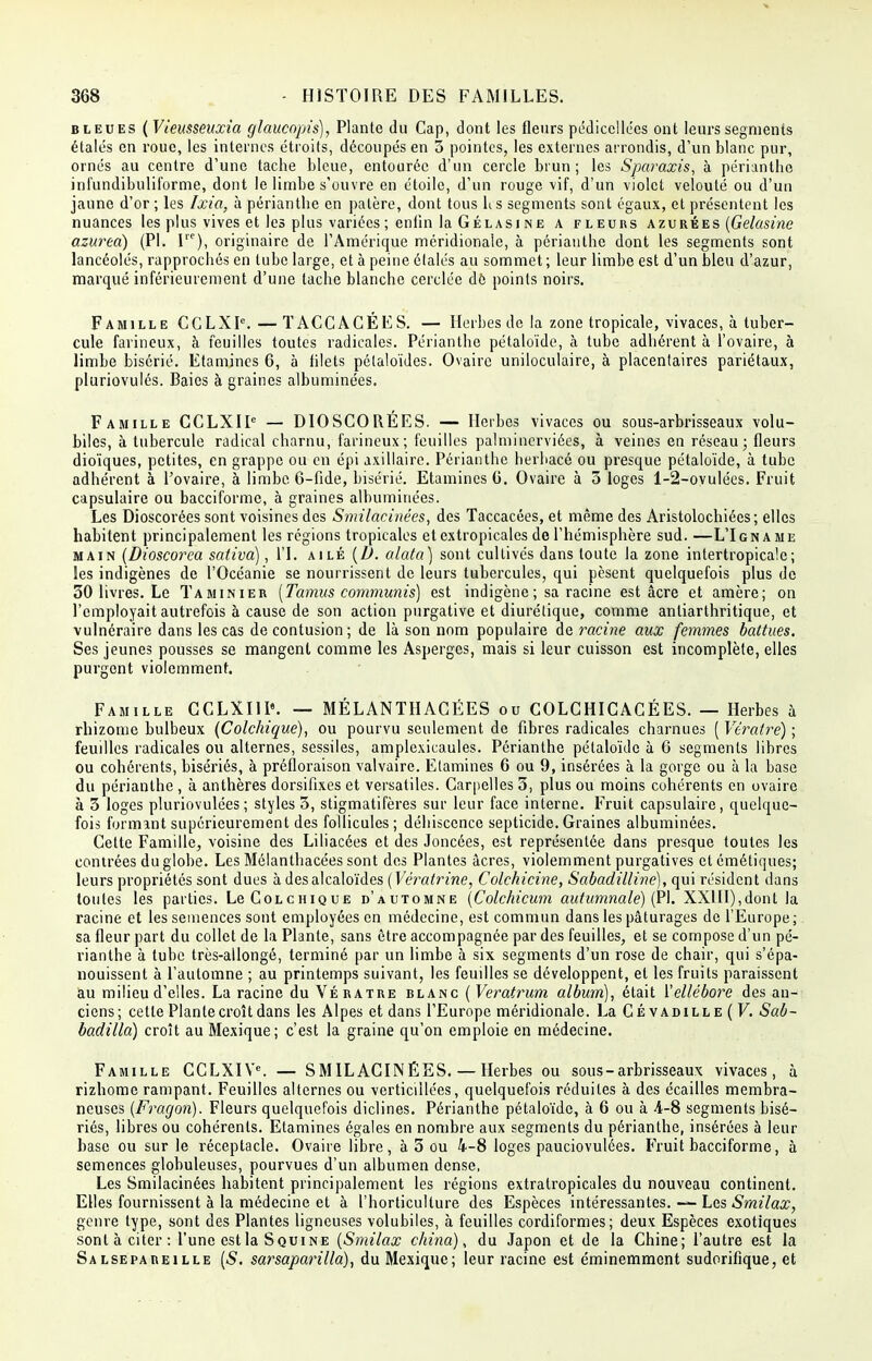 bleues ( Vieusseuxia glaucopis), Plante du Cap, dont les fleurs pédiccllées ont leurs segments étalés en roue, les internes étroits, découpés en 5 pointes, les externes arrondis, d'un blanc pur, ornés au centre d'une tache bleue, entourée d'un cercle brun; les Sparaxis, à périanthe infundibuliforme, dont le limbe s'ouvre en étoile, d'un rouge vif, d'un violet velouté ou d'un jaune d'or ; les Ixia, à périanthe en palère, dont tous h s segments sont égaux, et présentent les nuances les plus vives et les plus variées ; enfin la Gélasi ne a fleurs azurées (Gelasine azurea) (Pl. I), originaire de l'Amérique méridionale, à périanthe dont les segments sont lancéolés, rapprochés en tube large, et à peine étalés au sommet ; leur limbe est d'un bleu d'azur, marqué inférieure™eut d'une tache blanche cerclée dé points noirs. Famille CCLXP.—TACCACÉES. — Herbes de la zone tropicale, vivaces, à tuber- cule farineux, à feuilles toutes radicales. Périanthe pétaloïde, à tube adhérent à l'ovaire, à limbe bisérié. Etamines 6, à filets pétaloïdes. Ovaire uniloculaire, à placentaires pariétaux, pluriovulés. Baies à graines albuminées. Famille CCLXIP — DIOSCORÉES. — Herbes vivaces ou sous-arbrisseaux volu- biles, à tubercule radical charnu, farineux; feuilles palminerviées, à veines en réseau; fleurs dioïques, petites, en grappe ou en épi axillaire. Périanthe herbacé ou presque pétaloïde, à tube adhérent à l'ovaire, à limbe 6-fide, bisérié. Etamines 6. Ovaire à 3 loges 1-2-ovulées. Fruit capsulaire ou bacciforme, à graines albuminées. Les Dioscorées sont voisines des Smilacinées, des Taccacées, et même des Aristolochiées ; elles habitent principalement les régions tropicales et extropicales de l'hémisphère sud. —L'Igname main (Dioscorea sativd), l'I. ailé (D. alata) sont cultivés dans toute la zone intertropicalc; les indigènes de l'Océanie se nourrissent de leurs tubercules, qui pèsent quelquefois plus de 30 livres. Le Ta minier [Tamus communis) est indigène ; sa racine est acre et amère; on l'employait autrefois à cause de son action purgative et diurétique, comme anliarthritique, et vulnéraire dans les cas de contusion; de là son nom populaire de racine aux femmes battues. Ses jeunes pousses se mangent comme les Asperges, mais si leur cuisson est incomplète, elles purgent violemment. Famille CCLXIII9. — MÉLANTHAGÉES ou COLGHICACÉES. — Herbes à rhizome bulbeux (Colchique), ou pourvu seulement de fibres radicales charnues ( Vtratre) ; feuilles radicales ou alternes, sessiles, amplexicaules. Périanthe pétaloïde à 6 segments libres ou cohérents, bisériés, à préfloraison valvaire. Etamines 6 ou 9, insérées à la gorge ou à la base du périanthe , à anthères dorsifixes et versatiles. Carpelles 3, plus ou moins cohérents en ovaire à 3 loges pluriovulées; styles 3, stigmatifères sur leur face interne. Fruit capsulaire, quelque- fois formant supérieurement des follicules ; déhiscence septicide. Graines albuminées. Cette Famille, voisine des Liliacées et des Joncées, est représentée dans presque toutes les contrées du globe. Les Mélanthacées sont des Plantes acres, violemment purgatives etémétiques; leurs propriétés sont dues à desalcaloïdes (Vératrine, Colchicine, Sabadilline), qui résident dans toutes les parties. Le Colchique d'automne (Colchicum autumnale) (Pl. XXUI),dont la racine et les semences sont employées en médecine, est commun dans les pâturages de l'Europe ; sa fleur part du collet de la Plante, sans être accompagnée par des feuilles, et se compose d'un pé- rianthe à tube très-allongé, terminé par un limbe à six segments d'un rose de chair, qui s'épa- nouissent à l'automne ; au printemps suivant, les feuilles se développent, et les fruits paraissent au milieu d'elles. La racine du Vératre blanc ( Veratrum album), était {'ellébore des an- ciens; cette Plante croît dans les Alpes et dans l'Europe méridionale. La Cévadille ( V. Saù~ badilla) croît au Mexique; c'est la graine qu'on emploie en médecine. Famille CCLXIVe. — SMILACINÉES. — Herbes ou sous-arbrisseaux vivaces, à rizhome rampant. Feuilles alternes ou verticillées, quelquefois réduites à des écailles membra- neuses (Fragon). Fleurs quelquefois diclines. Périanthe pétaloïde, à 6 ou à 4-8 segments bisé- riés, libres ou cohérents. Etamines égales en nombre aux segments du périanthe, insérées à leur base ou sur le réceptacle. Ovaire libre, à 3 ou 4-8 loges pauciovulées. Fruit bacciforme, à semences globuleuses, pourvues d'un albumen dense, Les Smilacinées habitent principalement les régions extratropicales du nouveau continent. Elles fournissent à la médecine et à l'horticulture des Espèces intéressantes. — Les Smilax, genre type, sont des Plantes ligneuses volubiles, à feuilles cordiformes; deux Espèces exotiques sont à citer: l'une est la Squine (Smilax china), du Japon et de la Chine; l'autre est la Salsepareille [S. sarsaparilla), du Mexique; leur racine est éminemment sudorifique, et