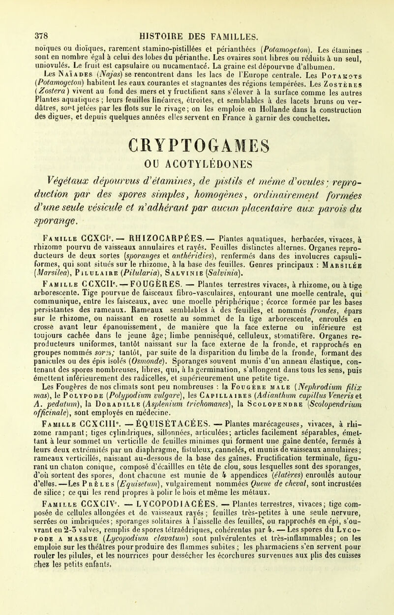 noïques ou dioïques, rarement stamino-pistillées et périanthées (Potamogeton). Les ëtamines - sont en nombre égal à celui des lobes du périanthe. Les ovaires sont libres ou réduits à un seul, uniovulés. Le fruit est capsulaire ou nucamentacé. La graine est dépourvue d'albumen. Les Naïades (Najas) se rencontrent dans les lacs de l'Europe centrale. Les Potakots (Potamoycton) habitent les eaux courantes et stagnantes des régions tempérées. Les Zostères (Zostera) vivent au fond des mers et y fructifient sans s'élever à la surface comme les autres Plantes aquatiques ; leurs feuilles linéaires., étroites, et semblables à des lacets bruns ou ver- dâtres, so»H jetées par les flots sur le rivage; on les emploie en Hollande dans la construction des digues, et depuis quelques années elles servent en France à garnir des couchettes. CRYPTOGAMES OU ACOTYLÉDONES Végétaux dépourvus d'étamines, de pistils et même d'ovules ; repro- duction par des spores simples, homogènes, ordinairement formées d'une seule vésicule et adhérant par aucun placentaire aux parois du sporange. Famille CCXCK— RHIZOGARPÉES.— Plantes aquatiques, herbacées, vivaces, à rhizome pourvu de vaisseaux annulaires et rayés. Feuilles distinctes alternes. Organes repro- ducteurs de deux sortes [sporanges et antkéridies), renfermés dans des involucres capsuli- formes, qui sont situés sur le rhizome, à la base des feuilles. Genres principaux : M arsilée [Marsilea), Pilulaire (Pilularia), Salvinie [Salvinia). Famille CCXCIP-.— FOUGERES. — Plantes terrestres vivaces, à rhizome, ou à tige arborescente. Tige pourvue de faisceaux fibro-vasculaires, entourant une moelle centrale, qui communique, entre les faisceaux, avec une moelle périphérique ; écorce formée par les bases persistantes des rameaux. Rameaux semblables à des -feuilles, et nommés frondes, épars sur le rhizome, ou naissant en rosette au sommet de la tige arborescente, enroulés en crosse avant leur épanouissement, de manière que la face externe ou inférieure est toujours cachée dans le jeune âge; limbe penniséqué, celluleux, stomatifère. Organes re- producteurs uniformes, tantôt naissant sur la face externe de la fronde, et rapprochés en groupes nommés sor?s; tantôt, par suite de la disparition du limbe de la fronde, formant des panicules ou des épis isolés (Osmonde). Sporanges souvent munis d'un anneau élastique, con- tenant des spores nombreuses, libres, qui, à la germination, s'allongent dans tous les sens, puis émettent inl'érieurement des radicelles, et supérieurement une petite tige. Les Fougères de nos climats sont peu nombreuses : la Fougère male (Nephrodium filix mas), le Polypode [Polypodium vulgarè), les Capillaires (Adianthum capillus Veneris et A. pedatum), la Doradille (Asplenium trichomanes), la Scolopendre [Scolopendrium officinale), sont employés en médecine. Famille CCXCIII6. — ÉQUISÉTACÉES. — Plantes marécageuses, vivaces, à rhi- zome rampant; tiges cylindriques, sillonnées, articulées; articles facilement séparables, émet- tant à leur sommet un verticille de feuilles minimes qui forment une gaîne dentée, fermés à leurs deux extrémités par un diaphragme, fistuleux, cannelés, et munis de vaisseaux annulaires; rameaux verticilîés, naissant au-dessous de la base des gaines. Fructification terminale, figu- rant un chaton conique, composé d'écaillles en tête de clou, sous lesquelles sont des sporanges, d'où sortent des spores, dont chacune est munie de 4 appendices (élatères) enroulés autour d'elles.—Les Prêles [Equisetum), vulgairement nommées Queue de cheval, sont incrustées de silice ; ce qui les rend propres à polir le bois et même les métaux. Famille CGXCIVc. — LYCOPODIACÉES. — Plantes terrestres, vivaces; tige com- posée de cellules allongées et de vaisseaux rayés ; feuilles très-petites à une seule nervure, serrées ou imbriquées; sporanges solitaires à 1 aisselle des feuilles* ou rapprochés en épi, s'ou- vrant en 2-5 valves, remplis despores tétraédriques, cohérentes pari. — Les spores du Lyco- pode a massue (Lycopodiurn clavatum) sont pulvérulentes et très-inflammables; on les emploie sur les théâtres pour produire des flammes subites ; les pharmaciens s'en servent pour rouler les pilules, et les nourrices pour dessécher les écorchures survenues aux plis des cuisses chez les petits enfants,