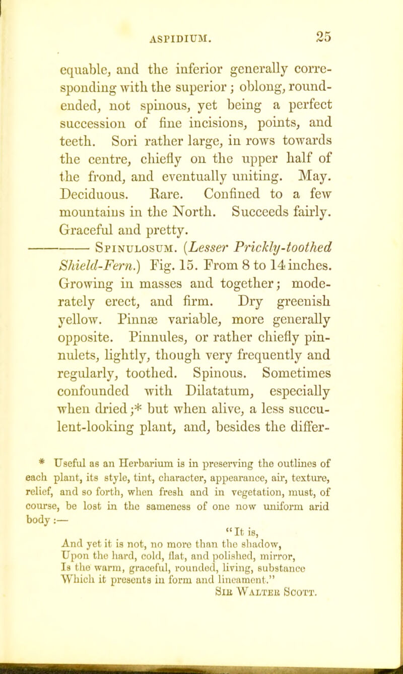 equable, and the inferior generally corre- sponding with the superior; oblong, round- ended, not spinous, yet being a perfect succession of fine incisions, points, and teeth. Sori rather large, in rows towards the centre, chiefly on the upper half of the frond, and eventually uniting. May. Deciduous. Rare. Confined to a few mountaius in the North. Succeeds fairly. Graceful and pretty. Spinulosum. [Lesser Prickly-toothed Shield-Fern.) Fig. 15. From 8 to 14inches. Growing in masses and together; mode- rately erect, and firm. Dry greenish yellow. Pinnae variable, more generally opposite. Pinnules, or rather chiefly pin- nulets, lightly, though very frequently and regularly, toothed. Spinous. Sometimes confounded with Dilatatum, especially when dried ;* but when alive, a less succu- lent-looking plant, and, besides the differ- * Useful as an Herbarium is in preserving the outlines of each plant, its style, tint, character, appearance, air, texture, relief, and so forth, when fresh and in vegetation, must, of course, be lost in the sameness of one now imiform arid body:— It is, And yet it is not, no more than the shadow, Upon the hard, cold, flat, and ]3oIished, mirror, Is the warm, graceful, rounded, Uving, substance Which it presents in form and lineament. SiE Walteii Scott.