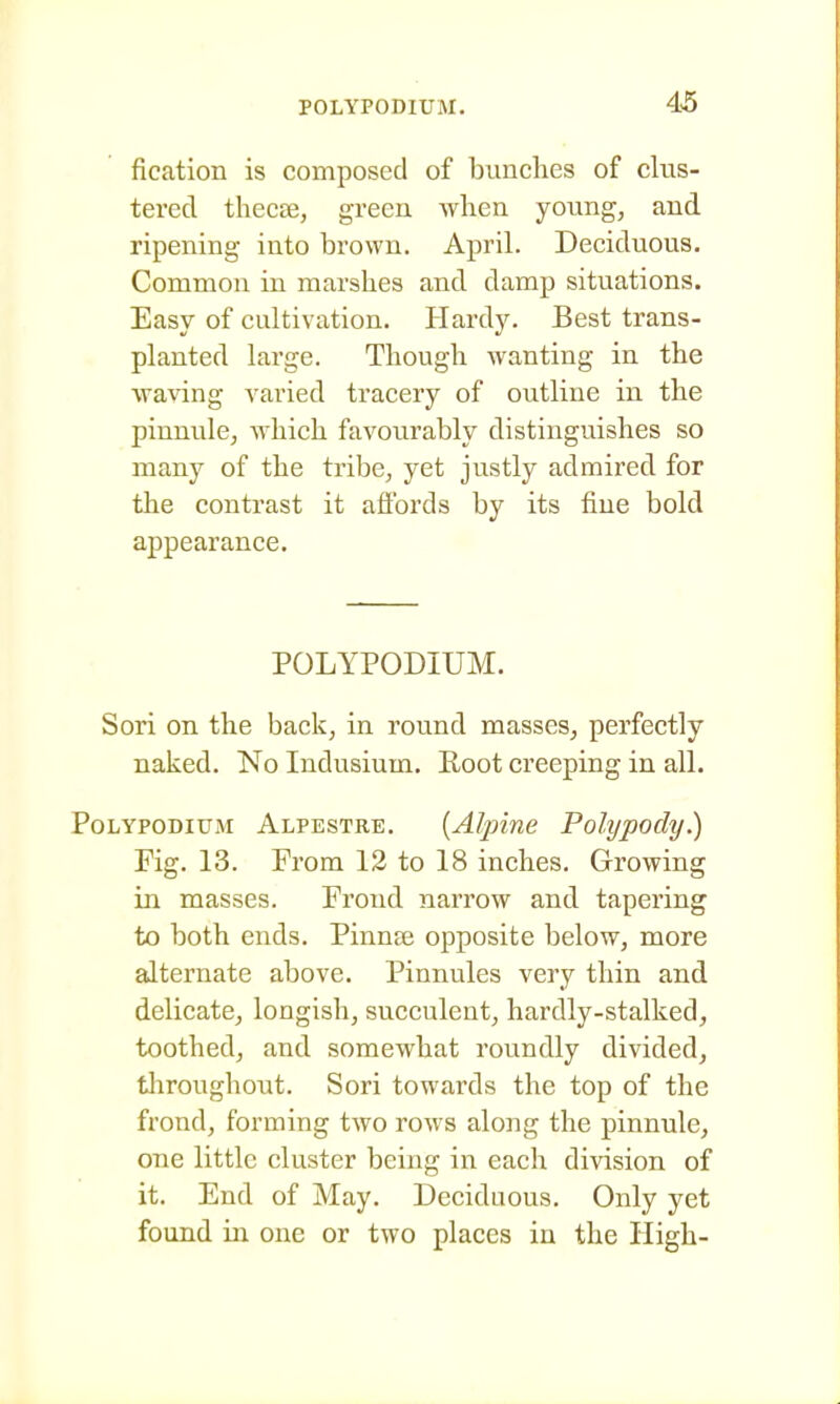 fication is composed of bunches of clus- tered thecre, green when young, and ripening into brown. April. Deciduous, Common in marshes and damp situations. Easy of cultivation. Hardy. Best trans- planted large. Though wanting in the waving varied tracery of outline in the pinnule, which favourably distinguishes so many of the tribe, yet justly admired for the contrast it affords by its fine bold appearance. POLYPODIUM. Sori on the back, in round masses, perfectly naked. No Indusium, Root creeping in all. PoLYPODiuM Alpestre. {Alpine Polypody.) Fig. 13. From 12 to 18 inches. Growing in masses. Frond narrow and tapering to both ends. Pinnse opposite below, more alternate above. Pinnules very thin and delicate, longish, succulent, hardly-stalked, toothed, and somewhat I'oundly divided, tliroughout. Sori towards the top of the frond, forming two rows along the pinnule, one little cluster being in each division of it. End of May. Deciduous. Only yet found in one or two places in the High-