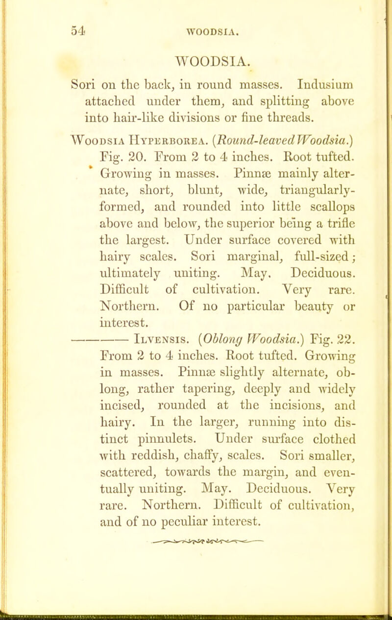 WOODSIA. Sori on the back, in round masses. Indusium attached under them^ and splitting above into hair-like divisions or fine threads. WooDsiA Hyperborea. {Round-leaved Woodsia.) Fig. 20. From 2 to 4 inches. Root tufted. Growing in masses. Pinnae mainly alter- nate, short, blunt, wide, triangularly- formed, and rounded into little scallops above and below, the superior being a trifle the largest. Under surface covered with hairy scales. Sori marginal, fvdl-sized; idtimately uniting. May. Deciduous. Difficult of cultivation. Very rare. Northern. Of no particular beauty or interest. Ilvensis. {Oblong Woodsia.) Fig. 22. From 2 to 4 inches. Root tufted. Growing in masses. Pinnae slightly alternate, ob- long, rather tapering, deeply and widely incised, rounded at the incisions, and hairy. In the larger, running into dis- tinct pinnulets. Under siu'face clothed with reddish, chafi'y, scales. Sori smaller, scattered, towards the margin, and even- tually uniting. May. Deciduous. Very rare. Northern. Difficult of cultivation, and of no peculiar interest.