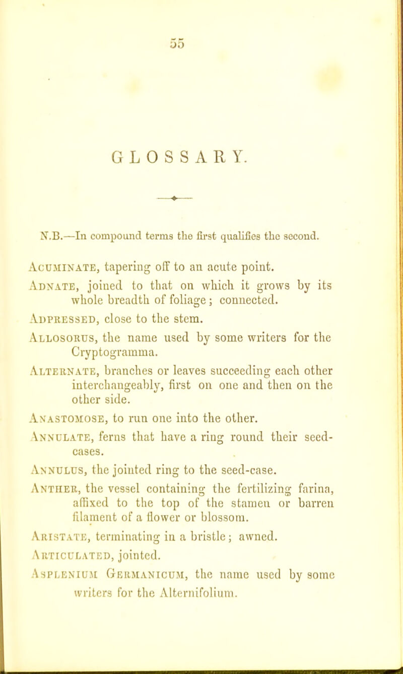 GLOSSARY. X.B.—In compound terms the first qualifies the second. Acuminate, tapering off to an acute point. Adnate, joined to that on which it grows by its whole breadth of foliage; connected. jVdpressed, close to the stem. Allosorus, the name used by some writers for the Cryptogramma. Alternate, branches or leaves succeeding each other interchangeably, first on one and then on the other side. AXASTOMOSE, to run one into the other. .\nnulate, ferns that have a ring round their seed- cases. .\nnulus, the jointed ring to the seed-case. Anther, the vessel containing the fertilizing farina, affixed to the top of the stamen or barren filament of a flower or blossom. Aristate, terminating in a bristle; awned. Articulated, jointed. AsPLENiuJi GerjManicum, the name used by some writers for the Alternifolium.