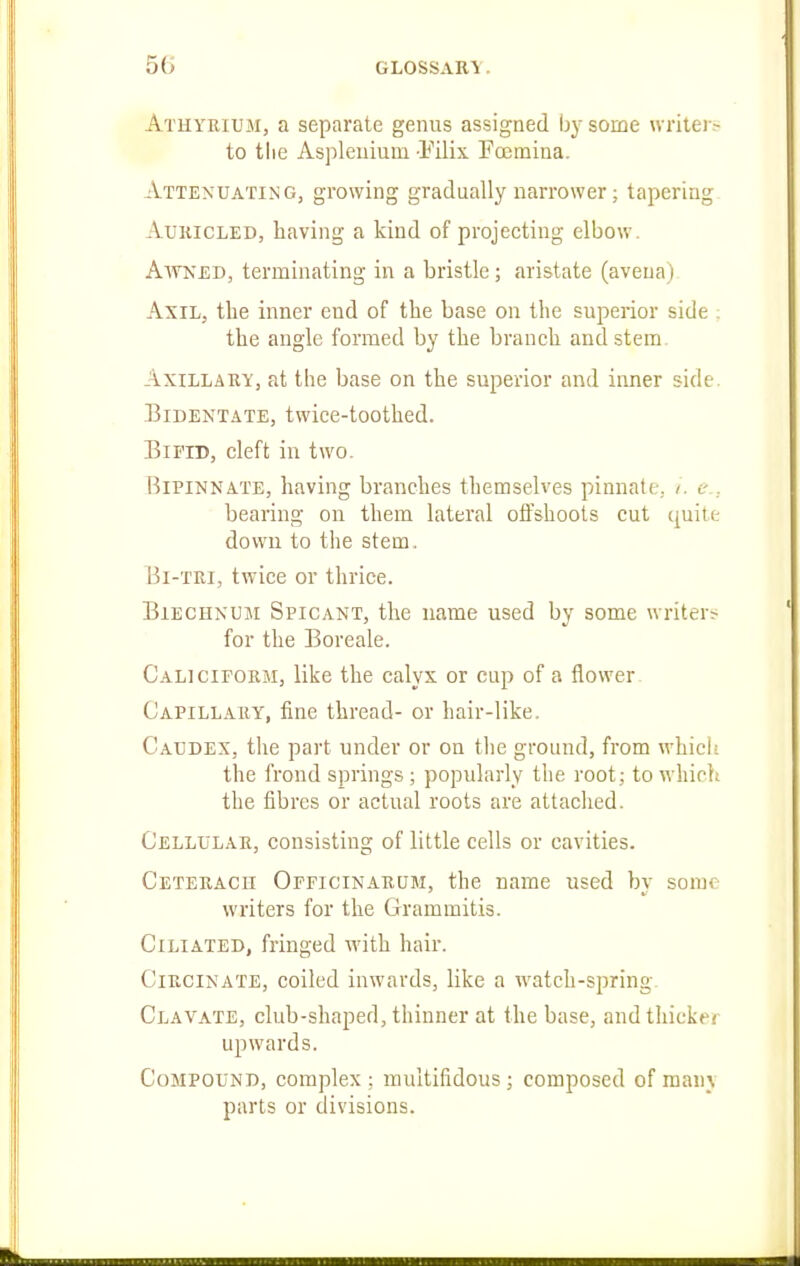 Athyrium, a separate genus assigned by some writer- to the Asplenium Eilix Fojmiaa. Attenuating, growing gradually narrower; tapering AuiiiCLED, having a kind of projecting elbow. AwNED, terminating in a bristle; aristate (aveua) Axil, the inner end of the base on the superior side : the angle formed by the branch and stem. Axillary, at the base on the superior and inner side. BiDENTATE, twicc-toothcd. Bifid, cleft in two. BiPiNNATE, having branches themselves pinnate, /. c,.. bearing on them lateral olfshoots cut quite down to the stem. Bi-TRi, twice or thrice. BiECHNUM Spicant, the name used by some writers for the Boreale. Calicieorm, like the calyx or cup of a flower Capillary, fine thread- or hair-like. Caudex, the part under or on the ground, from which the frond springs ; popularly the root; to which the fibres or actual roots are attached. Cellular, consisting of little cells or cavities. Ceteracii Oeficinarum, the name used by some writers for the Grammitis. Ciliated, fringed with hair. Circinate, coiled inwards, like a watch-spring. Clavate, club-shaped, thinner at the base, and thicker upwards. Compound, complex; multifidous; composed of man_\ parts or divisions.