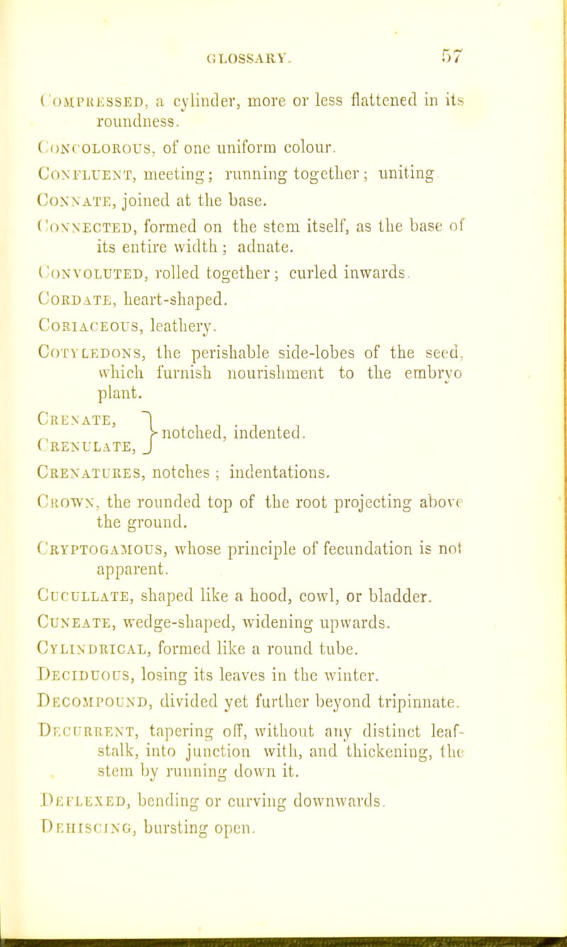 CoMPKKSSED, <i cylinder, more or less flattened in its roundness. (oNcoLORous, of one uniform colour. CoM'LrENT, meeting; running together ; uniting Connate, joined at the base. Connected, formed on the stem itself, as the base of its entire width ; adnate. Convoluted, rolled together; curled inwards. Cordate, heart-shaped. Coriaceous, leathery. Cotyledons, the perishable side-lobes of the seed, which furnish nourishment to the embryo Crenulate, J Crenatures, notches ; indentations. Crown, the rounded top of the root projecting above the ground. Cryptogamgus, whose principle of fecundation is not apparent. Cucullate, shaped like a hood, cowl, or bladder. Cuneate, wedge-shaped, widening upwards. Cylindrical, formed like a round tube. Deciduous, losing its leaves in the winter. Decojipound, divided yet further beyond tripinnate. Decurrent, tapering off, without any distinct leaf- stalk, into junction with, and thickening, the stem by running tlown it. Deflexed, bending or curving downwards. Drhiscing, bursting open. plant.