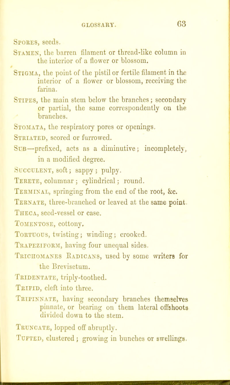 Spobes, seeds. Stamen, the barren filament or thread-like column in the interior of a flower or blossom. Stigma, the point of the pistil or fertile filament in the interior of a flower or blossom, receiving the farina. Stipes, the main stem below the branches; secondary or partial, the same correspondently on the branches. Stomata, the respiratory pores or openings. Striated, scored or furrowed. Sub—prefixed, acts as a diminutive; incompletely, in a modified degree. Succulent, soft; sappy ; pulpy. Terete, columnar ; cylindrical; round. Terminal, springing from the end of the root, &c. Ternate, three-branched or leaved at the same point. Theca, seed-vessel or case. Tomentose, cottony. Tortuous, twisting; winding; crooked. Trapeziform, having four unequal sides. Tbichomanes E.^dicans, used by some writers for the Brevisetum. Tridentate, triply-toothed. Tbifid, cleft into three. Tripinnate, having secondai7 branches themselves pinnate, or bearing on them lateral offshoots divided down to the stem. Truncate, lopped off abruptly. Tufted, clustered; growing in bunches or swellings.