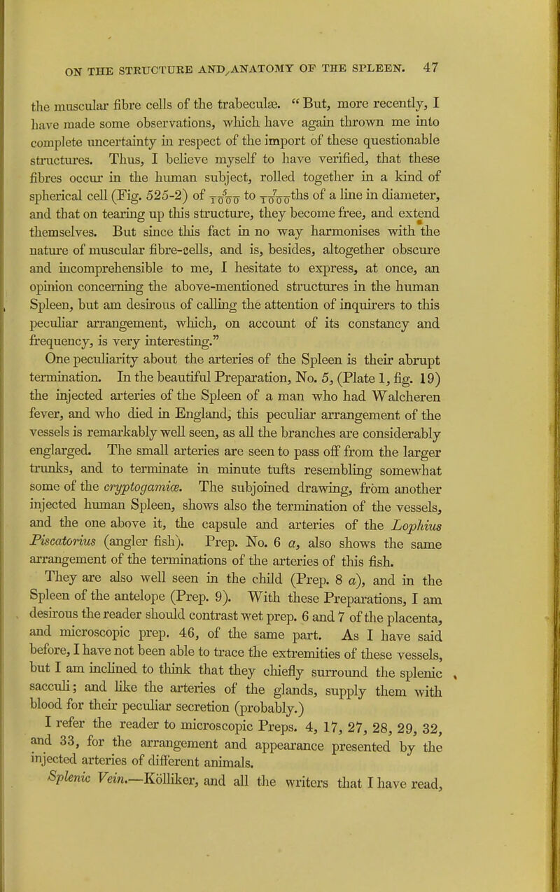 the muscular fibre cells of the trabeculaB.  But, more recently, I have made some observations, wloich have again thrown me rate complete uncertainty m respect of the import of these questionable sti-uctiires. Thus, I believe myself to have verified, that these fibres occur in the human subject, rolled together in a Idnd of spherical cell (Fig. 525-2) of fwou *o t^Vo*^^ ^ ^^^ diameter, and that on tearing up tliis structure, they become free, and extend themselves. But since this fact in no way harmonises with the natm-e of muscular fibre-cells, and is, besides, altogether obscure and incomprehensible to me, I hesitate to express, at once, an opuiion concerning the above-mentioned structures in the human Spleen, but am desirous of calling the attention of inquirers to this pecuhar arrangement, which, on account of its constancy and frequency, is very interesting. One pecuharity about the arteries of the Spleen is their abrupt termination. In the beautiful Preparation, No. 5, (Plate 1, fig. 19) the injected arteries of the Spleen of a man who had Walcheren fever, and who died in England, this pecnKar arrangement of the vessels is remai-kably well seen, as all the branches are considerably englarged. The small arteries are seen to pass off from the larger trunks, and to terminate in minute tufts resembling somewhat some of the cryptogamice. The subjoined drawing, from another injected human Spleen, shows also the termination of the vessels, and the one above it, the capsule and arteries of the LopUus Piscatorius (angler fish). Prep. No. 6 a, also shows the same axrangement of the terminations of the arteries of this fish. They are also well seen m the child (Prep. 8 a), and in the Spleen of the antelope (Prep. 9). With these Preparations, I am desirous the reader should contrast wet prep. 6 and 7 of the placenta, and microscopic prep. 46, of the same part. As I have said before, I have not been able to trace the extremities of these vessels, but I am inclined to thmlc that they chiefly surround the splenic , sacculi; and like the arteries of the glands, supply them with blood for their peculiar secretion (probably.) I refer the reader to microscopic Preps. 4, 17, 27, 28, 29, 32, and 33, for the arrangement and appeai'ance presented by the injected arteries of different animals. SpUnic Fein.—KoUiker, and all the writers that I have read.
