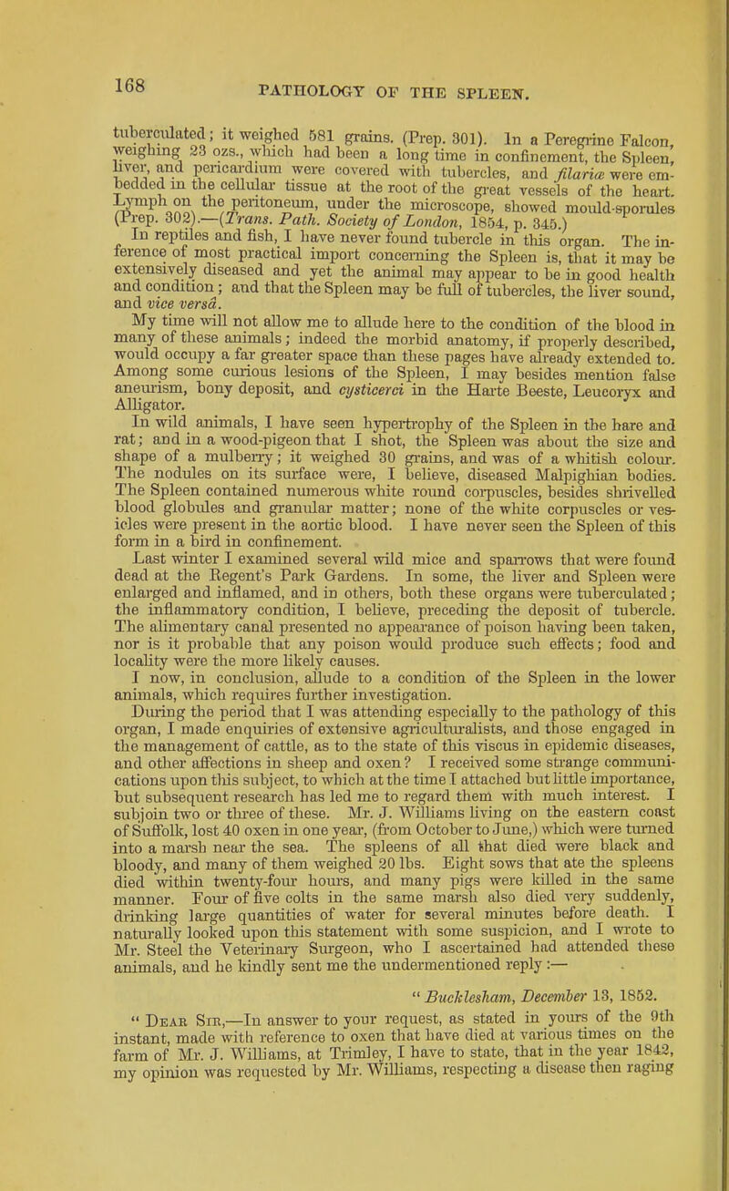 tubemilated; it weighed 581 grains. (Prep. 301). In a Peregiine Falcon, weighing 23 ozs., wluch had been a long time in confinement, the Spleen, liver, and pencardiura were covered with tubercles, and filarial were em- bedded in the cellulai- tissue at the root of the gi-eat vessels of the heart. T^! ono^ pentoneum, under the microscope, showed mould sporules (Prep. 302).—(1 raws. Path. Society of London, 1854, p. 345.) In reptiles and fish, I have never found tubercle in this organ. The in- ference of most practical import concerning the Spleen is, that it may be extensively diseased and yet the animal may appear to be in good health and condition; and that the Spleen may be full of tubercles, the liver sound, and vice versa. My time will not allow me to allude here to the condition of the blood in many of these animals; indeed the morbid anatomy, if properly described, would occupy a far gi-eater space than these pages have already extended to! Among some curious lesions of the Spleen, I may besides mention false aneurism, bony deposit, and cijsticerci in the Hai-te Beeste, Leucoiyx and Alligator. In wild animals, I have seen hypei-ti-ophy of the Spleen in the hare and rat; and in a wood-pigeon that I shot, the Spleen was about the size and shape of a mulben-y; it weighed 30 grains, and was of a whitish colour. The nodules on its surface were, I believe, diseased Malpighian bodies. The Spleen contained numerous white round coi-puscles, besides shrivelled blood globules and granular matter; none of the white corpuscles or ves- icles were present in the aoitic blood. I have never seen the Spleen of this form in a bird in confinement. Last winter I examined several wild mice and span'ows that were found dead at the Regent's Pai-k Gai-dens. In some, the liver and Spleen were enlarged and inflamed, and in others, both these organs were tuberculated; the inflammatory condition, I believe, preceding the deposit of tubercle. The alimentary canal presented no appearance of jioison having been taken, nor is it probable that any poison would produce such eflPects; food and locahty were the more likely causes. I now, in conclusion, allude to a condition of the Spleen in the lower animals, which requires further investigation. During the period that I was attending especially to the pathology of this organ, I made enquiries of extensive agricultm-alists, and those engaged in the management of cattle, as to the state of this viscus in epidemic diseases, and otlier afiections in sheep and oxen ? I received some sti-ange communi- cations upon tliis subject, to which at the time I attached but httle importance, but subsequent research has led me to regard them with much interest. I subjoin two or tkree of these. Mr. J. Williams Uving on the eastern coast of Suffolk, lost 40 oxen in one yeai*, (from October to Jime,) which were tiu-ned into a marsh near the sea. The spleens of all that died were black and bloody, and many of them weighed 20 lbs. Eight sows that ate the spleens died within twenty-fom- hours, and many pigs were killed in the same manner. Four of five colts in the same marsh also died very suddenly, drinking large quantities of water for several minutes before death. I naturally looked upon this statement with some suspicion, and I wi-ote to Mr. Steel the Veterinaiy Surgeon, who I ascertained had attended these animals, and he kindly sent me the undermentioned reply :—  BucTclesham, December 13, 1852.  Dear Sir,—In answer to your request, as stated in yoirrs of the 9th instant, made with reference to oxen that have died at various times on the fai-m of Mr. J. Williams, at Trimley, I have to state, that in the year 1842, my opinion was requested by Mr. Williams, respecting a disease then raging