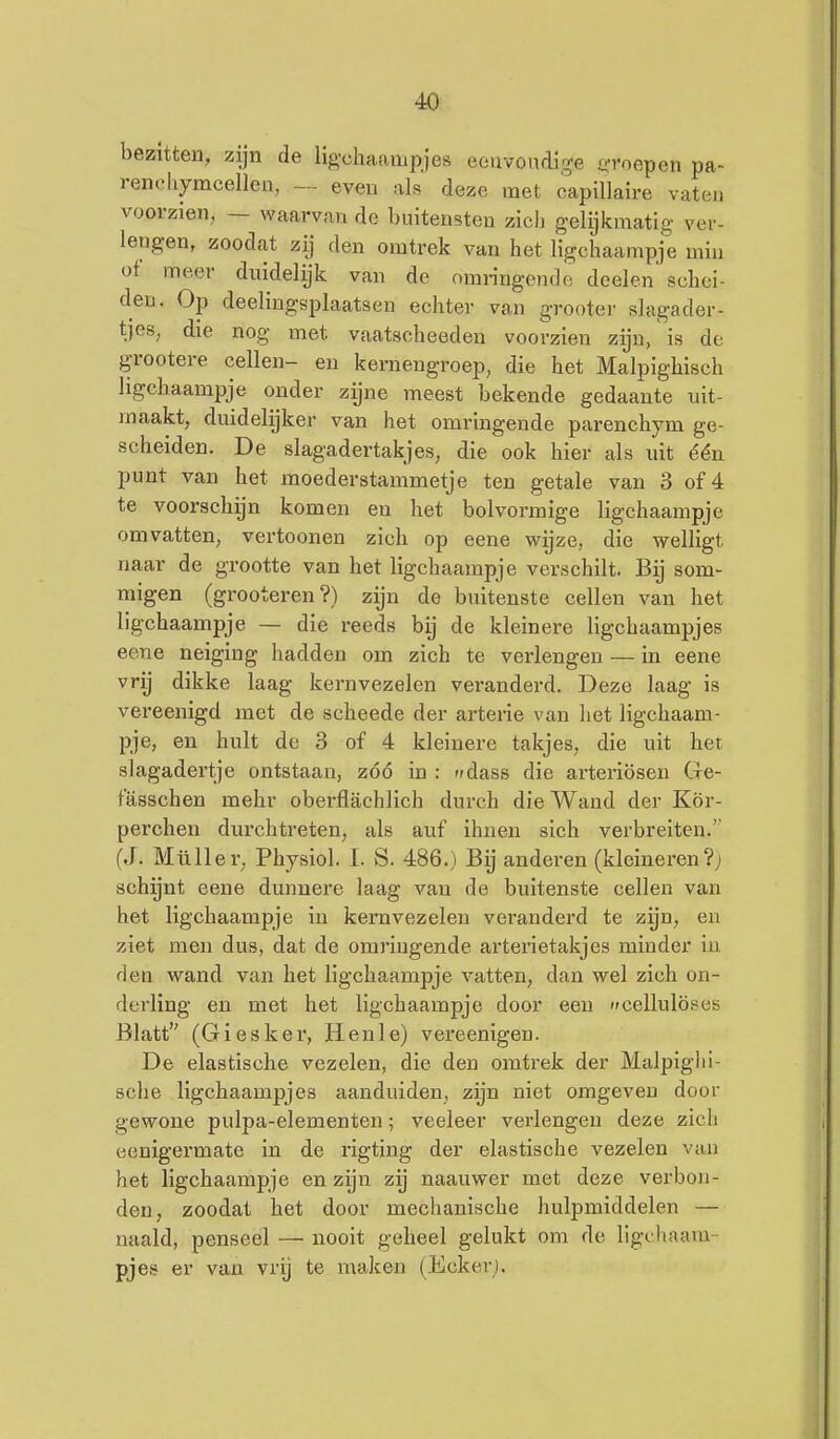 bezitten, zijn de lig-chaampjes eenvoudige inroepen pa- reneliymcellen, — even als deze met capillaire vaten voorzien, — waarvan de buitensten zicli gelijkmatig ver- lengen, zoodat zij den omtrek van het ligchaampje min of meer duidelijk van de omringende deelen seliei- den. Op deelingsplaatsen echter van grooter slagader- tjes, die nog met vaatscheeden voorzien zijn, is de grootere cellen- en kernengroep, die het Malpighisch ligchaampje onder zijne meest bekende gedaante uit- maakt, duidelijker van het omringende parenchym ge- scheiden. De slagadertakjes, die ook hier als uit één punt van het moederstammetje ten getale van 3 of 4 te voorschijn komen en het bolvormige ligchaampje omvatten, vertoonen zich op eene wijze, die welligt naar de grootte van het ligchaampje verschilt. Bij som- migen (grooteren?) zijn de buitenste cellen van het ligchaampje — die reeds by de kleinere ligchaampjes eene neiging liaddeu om zich te verlengen — in eene vrij dikke laag kernvezelen veranderd. Deze laag is vereenigd met de scheede der arterie van het ligchaam- pje, en hult de 3 of 4 kleinere takjes, die uit het slagadertje ontstaan, zóó in : ffdass die arteriösen Cfe- fasschen mehr obei-flachlich durch die Wand der Kör- perchen durchtreten, als auf ihnen sich verbreiten. (J. Müller, Physiol. I. S. 486.) Bij anderen (kleineren?; schijnt eene dunnere laag van de buitenste cellen van het ligchaampje in kernvezelen veranderd te zijn, en ziet men dus, dat de omringende arterietakjes minder in den wand van het ligchaampje vatten, dan wel zich on- derling en met het ligchaampje door een cellulöses Blatt (Giesker, Hen Ie) vereenigen. De elastische vezelen, die den omtrek der Malpiglii- sche ligchaampjes aanduiden, zijn niet omgeven door gewone pulpa-elementen; veeleer verlengen deze zich eenigermate in de rigting der elastische vezelen van het ligchaampje en zijn zij naauwer met deze verbon- den, zoodat het door mechanische hulpmiddelen — naald, penseel — nooit geheel gelukt om de ligihaam pjes er van vrij te maken (Ecker).