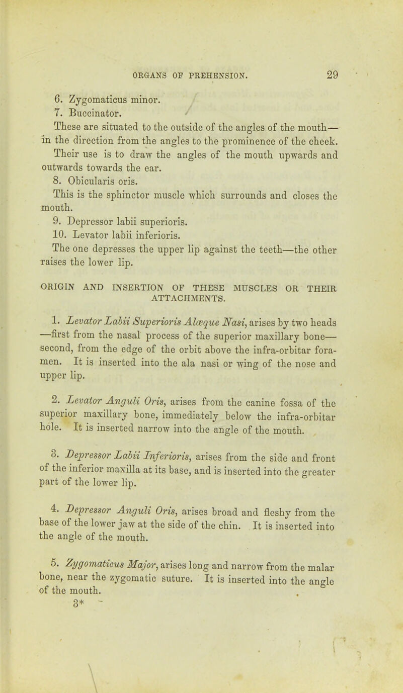 6. Zygomaticus minor. 7. Buccinator. These are situated to the outside of the angles of the mouth— in the direction from the angles to the prominence of the cheek. Their use is to draw the angles of the mouth upwards and outwards towards the ear. 8. Obicularis oris. This is the sphincter muscle which surrounds and closes the mouth. 9. Depressor labii superioris. 10. Levator labii inferioris. The one depresses the upper lip against the teeth—the other raises the lower lip. ORIGIN AND INSERTION OF THESE MUSCLES OR THEIR ATTACHMENTS. 1. Levator Lahii Superioris Alceque Nasi, arises by two heads —first from the nasal process of the superior maxillary bone— second, from the edge of the orbit above the infra-orbitar fora- men. It is inserted into the ala nasi or wing of the nose and upper lip. 2. Levator Anguli Oris, arises from the canine fossa of the superior maxillary bone, immediately below the infra-orbitar hole. It is inserted narrow into the angle of the mouth. o. Depressor Lahii Lnferioris, arises from the side and front of the inferior maxilla at its base, and is inserted into the greater part of the lower lip. 4. Depressor Anguli Oris, arises broad and fleshy from the base of the lower jaw at the side of the chin. It is inserted into the angle of the mouth. 5. Zygomaticus Major, arises long and narrow from the malar bone, near the zygomatic suture. It is inserted into the angle of the mouth. , “ 3* '