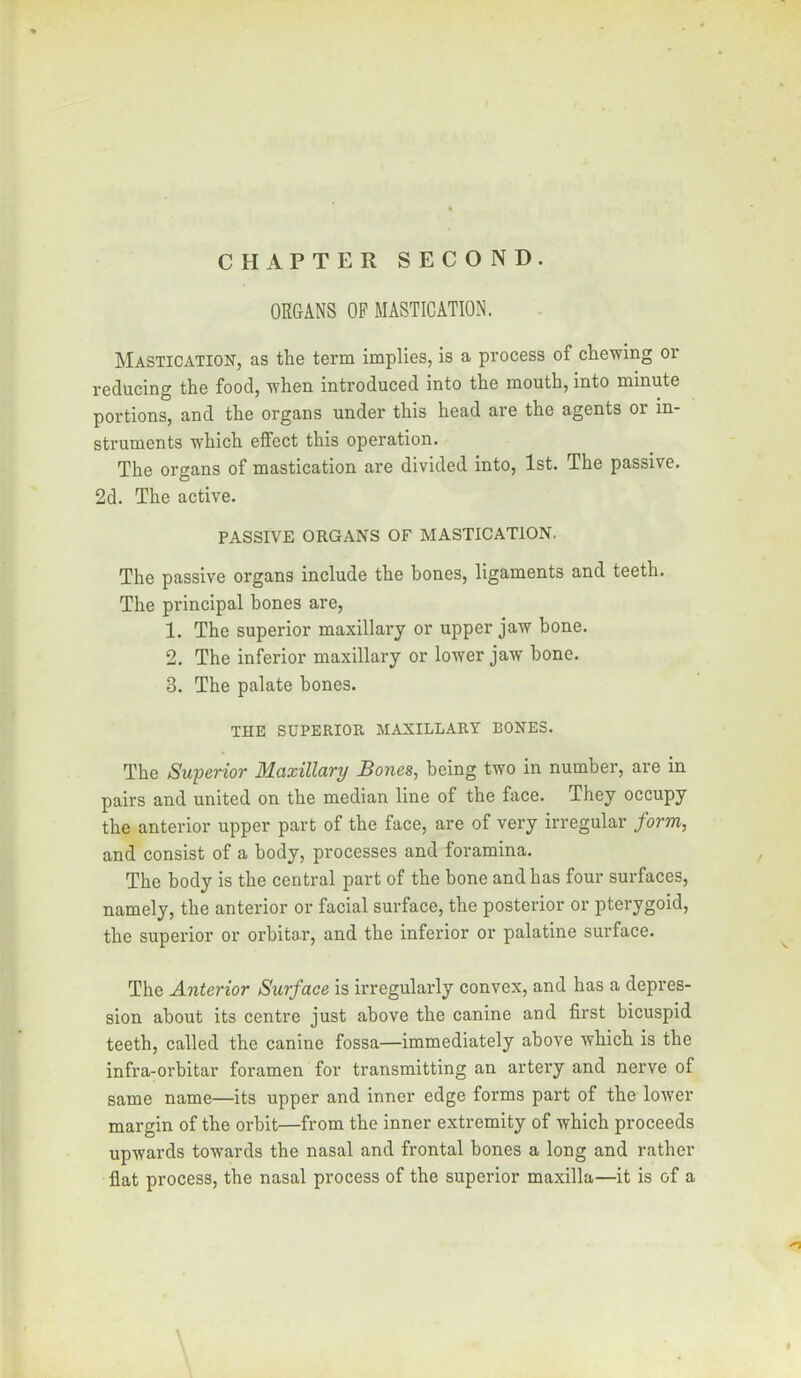 CHAPTER SECOND. ORGANS OF MASTICATION. Mastication, as the term implies, is a process of chewing or reducing the food, when introduced into the mouth, into minute portions, and the organs under this head are the agents or in- struments which effect this operation. The organs of mastication are divided into, 1st. The passive. 2d. The active. PASSIVE ORGANS OF MASTICATION, The passive organs include the bones, ligaments and teeth. The principal bones are, 1. The superior maxillary or upper jaw bone. 2. The inferior maxillary or lower jaw bone. 3. The palate bones. THE SUPERIOR MAXILLARY BONES. The Superior Maxillary Bones, being two in number, are in pairs and united on the median line of the face. They occupy the anterior upper part of the face, are of very irregular form, and consist of a body, processes and foramina. The body is the central part of the bone and has four surfaces, namely, the anterior or facial surface, the posterior or pterygoid, the superior or orbita,r, and the inferior or palatine surface. The Anterior Surface is irregularly convex, and has a depres- sion about its centre just above the canine and first bicuspid teeth, called the canine fossa—immediately above which is the infra-orbitar foramen for transmitting an artery and nerve of same name—its upper and inner edge forms part of the lower margin of the orbit—from the inner extremity of which proceeds upwards towards the nasal and frontal bones a long and rather flat process, the nasal process of the superior maxilla—it is of a