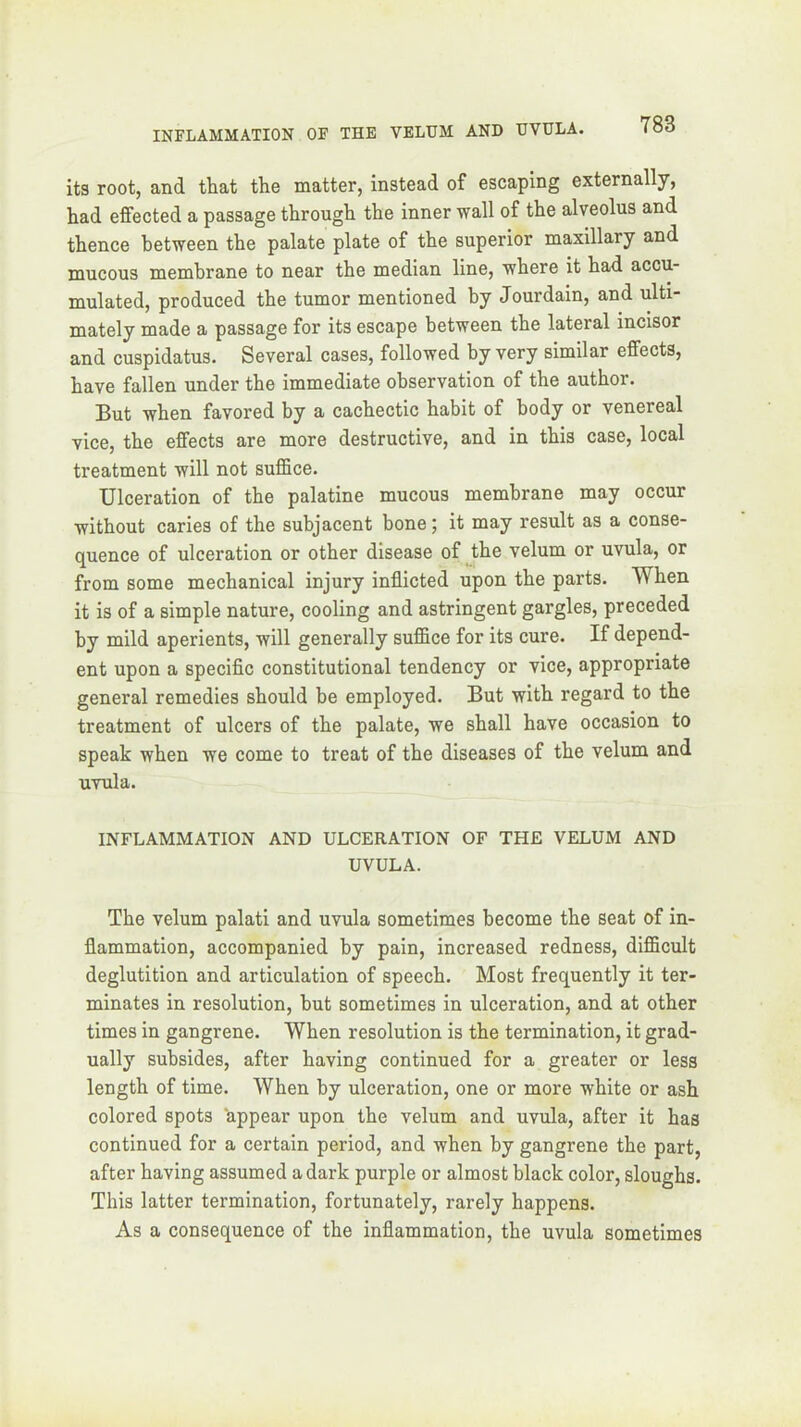 its root, and that the matter, instead of escaping externally, had effected a passage through the inner wall of the alveolus and thence between the palate plate of the superior maxillary and mucous membrane to near the median line, where it had accu- mulated, produced the tumor mentioned by Jourdain, and ulti- mately made a passage for its escape between the lateral incisor and cuspidatus. Several cases, followed by very similar effects, have fallen under the immediate observation of the author. But when favored by a cachectic habit of body or venereal vice, the effects are more destructive, and in this case, local treatment will not suffice. Ulceration of the palatine mucous membrane may occur without caries of the subjacent bone; it may result as a conse- quence of ulceration or other disease of ^the velum or uvula, or from some mechanical injury inflicted upon the parts. When it is of a simple nature, cooling and astringent gargles, preceded by mild aperients, will generally suffice for its cure. If depend- ent upon a speciflc constitutional tendency or vice, appropriate general remedies should be employed. But with regard to the treatment of ulcers of the palate, we shall have occasion to speak when we come to treat of the diseases of the velum and uvula. INFLAMMATION AND ULCERATION OF THE VELUM AND UVULA. The velum palati and uvula sometimes become the seat of in- flammation, accompanied by pain, increased redness, difficult deglutition and articulation of speech. Most frequently it ter- minates in resolution, but sometimes in ulceration, and at other times in gangrene. When resolution is the termination, it grad- ually subsides, after having continued for a greater or less length of time. When by ulceration, one or more white or ash colored spots appear upon the velum and uvula, after it has continued for a certain period, and when by gangrene the part, after having assumed a dark purple or almost black color, sloughs. This latter termination, fortunately, rarely happens. As a consequence of the inflammation, the uvula sometimes
