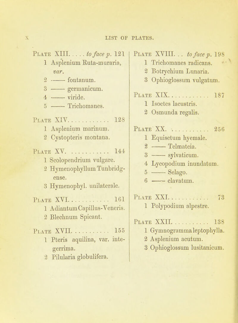 LIST OP PLATES. Plate XIII to face p. 121 1 Asplenium Euta-muraria, var. 2 fontanum. 3 germaiiicum, 4 viride. 5 Trichomanes. Plate XIV 128 1 Asplenium marinum. 2 Cystopteris raontaua. Plate XV 144- 1 Scolopendrium vulgare. 2 Hymenophylluin Tuiibridg- ense. 3 Hymenophyl. uuilaterale. Plate XVI 161 1 AdianturaCapillus-Veneris. 2 Bleclmum Spicant. Plate XVII 155 1 Pteris aquilina, var. inte- gerrima. 2 Pilularia globulifera. Plate XVIII. .. to face p. 3 98 1 Trichomanes radicans. 2 Botrychium Lunaria. 3 Ophioglossum vulgatum. Plate XTX 187 1 Isoetes lacustris. 2 Osmunda regalis. Plate XX 256 1 Equisetum hyemale. 2 Telraateia. 3 sylvaticum. 4 Lycopodium immdatum. 5 Selago. 6 clavatum. Plate XXI 73 1 Polypodium alpestre. Plate XXII 138 1 Gymnogrammaleptophylla. 2 Asplenium acutum. 3 Ophioglossum lusitanicum.