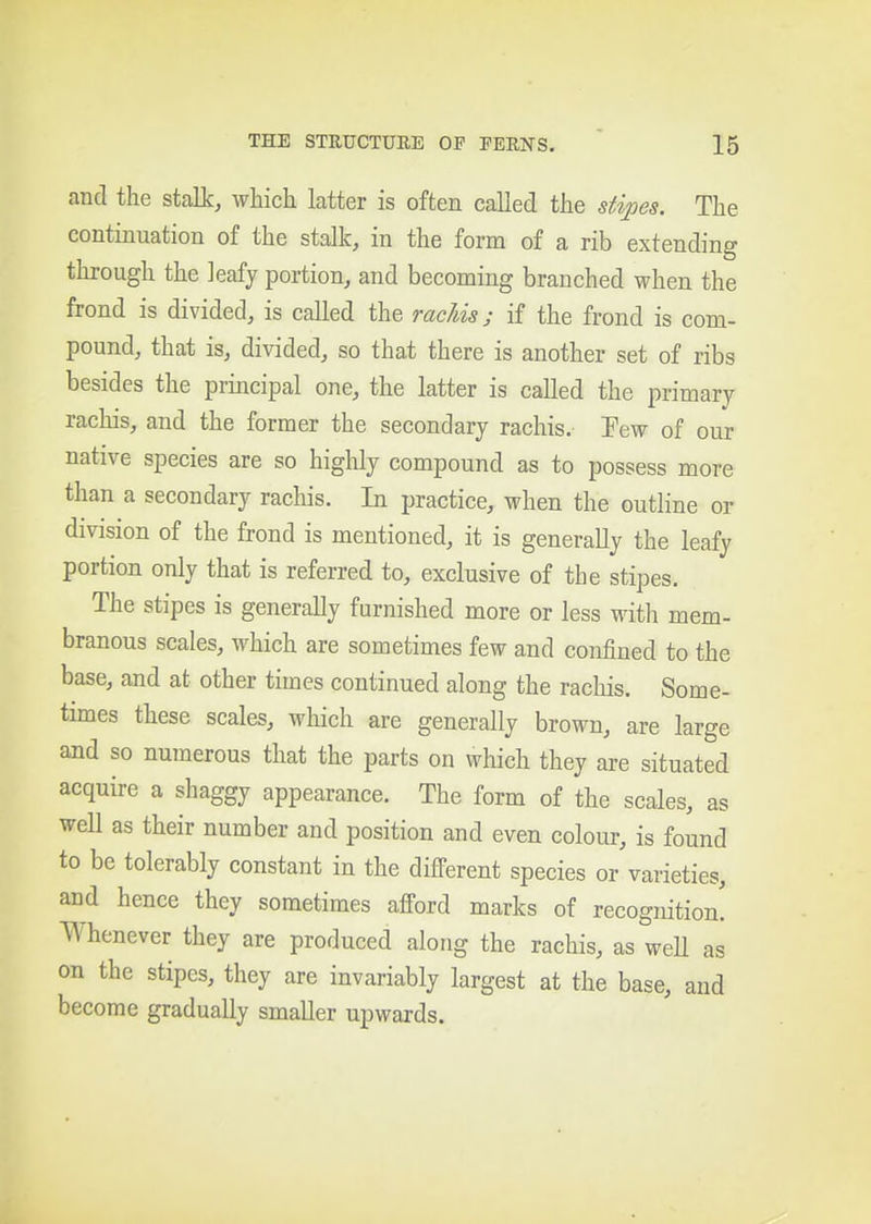 and the stalk, which latter is often called the stipes. The continuation of the stalk, in the form of a rib extending through the leafy portion, and becoming branched when the frond is divided, is called the rachis j if the frond is com- pound, that is, divided, so that there is another set of ribs besides the principal one, the latter is called the primary rachis, and the former the secondary rachis. lew of our native species are so highly compound as to possess more than a secondary rachis. In practice, when the outline or division of the frond is mentioned, it is generally the leafy portion only that is referred to, exclusive of the stipes. The stipes is generally furnished more or less with mem- branous scales, which are sometimes few and confined to the base, and at other times continued along the rachis. Some- times these scales, which are generally brown, are large and so numerous that the parts on which they are situated acquire a shaggy appearance. The form of the scales, as well as their number and position and even colour, is found to be tolerably constant in the different species or varieties, and hence they sometimes afford marks of recognition! Whenever they are produced along the rachis, as weU as on the stipes, they are invariably largest at the base, and become gradually smaller upwards.