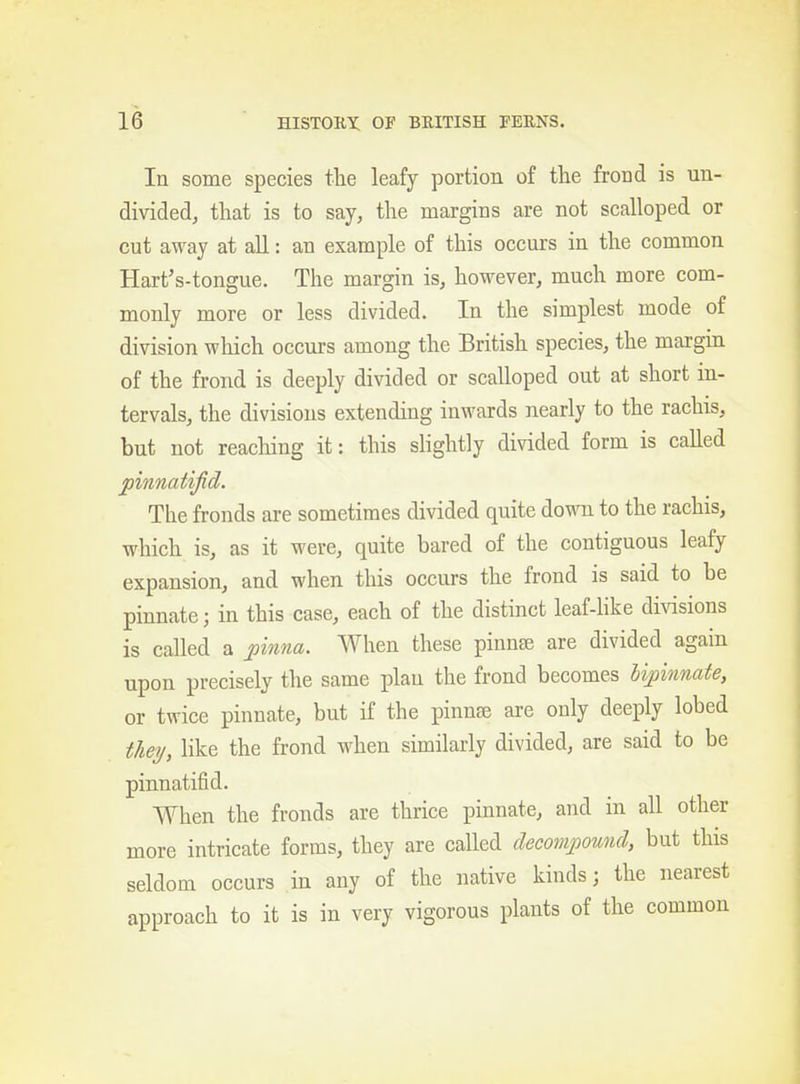 In some species the leafy portion of the frond is un- divided, that is to say, the margins are not scalloped or cut away at all: an example of this occurs in the common Hart's-tongue. The margin is, however, much more com- monly more or less divided. In the simplest mode of division which occurs among the British species, the margin of the frond is deeply divided or scalloped out at short in- tervals, the divisions extending inwards nearly to the rachis, but not reaching it: this slightly divided form is called pinnatijid. The fronds are sometimes divided quite do\\Ti to the rachis, which is, as it were, quite bared of the contiguous leafy expansion, and when this occurs the frond is said to be pinnate; in this case, each of the distinct leaf-hke divisions is called a j)inna. When these pinnae are divided again upon precisely the same plan the frond becomes hipinnate, or twice pinnate, but if the pinnae are only deeply lobed theT/, like the frond when similarly divided, are said to be pinnatifid. When the fronds are thrice pinnate, and in all other more intricate forms, they are called deconipound, but this seldom occurs in any of the native kinds; the nearest approach to it is in very vigorous plants of the common