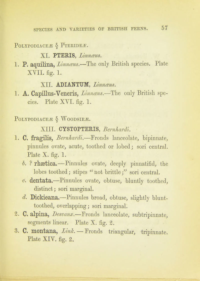 PoLYPODIACEiE § PtEEIDE^. XI. PTERIS, Linnaus. 1. P. aquilina, Linnaeus.—The only British species. Plate XYIL fig. 1. XII. ADIANTUM, Linnaus. 1. A. CapiUus-Veneris, Linnaus.—The only British spe- cies. Plate XVI. fig. 1. PoLTPODIACE^ § WOODSIE^. XIII. CYSTOPTERIS, Bernhardt 1. C. fragiHs, BernharcU.—Fronds lanceolatcj bipinnate, pinnules ovate, acute, toothed or lobed; sori central. Plate X. fig. 1. h. ? rhsetica.—Pinnules ovate, deeply pinnatifid, the lobes toothed; stipes  not brittlesori central. c. dentata.—Pinnules ovate, obtuse, bluntly toothed, distinct; sori marginal. d. DicMeana.—Pinnules broad, obtuse, slightly blunt- toothed, overlapping; sori marginal. 2. C. alpina, Desvmix.—Fronds lanceolate, subtripinnate, segments linear. Plate X. fig. 2. 3. C. montana, Link. — Fronds triangular, tripinnate. Plate XIV. fig. 2.