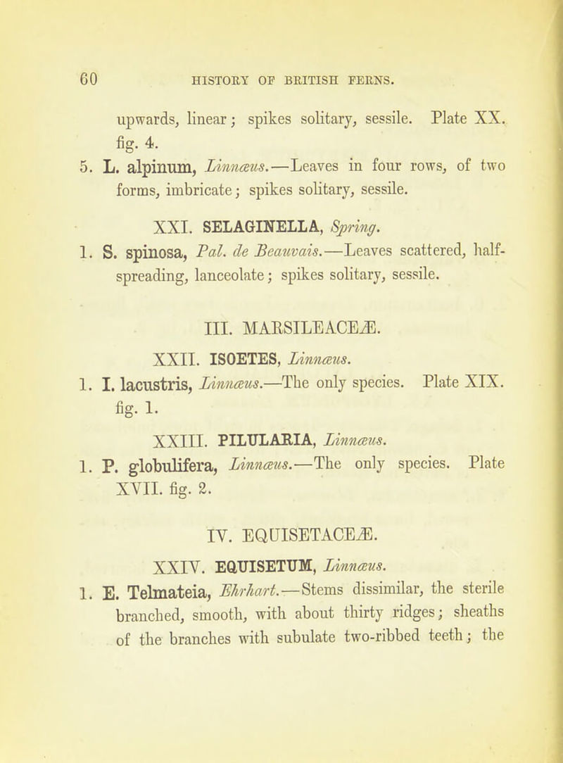 upwards, linear; spikes solitary, sessile. Plate XX. fig. 4. 5. L. alpinum, Linnaus.—Leaves in four rows, of two forms, imbricate; spikes solitary, sessile. XXI. SELAGINELLA, Spring. 1. S. spinosa, Pal. tie Beativais.—Leaves scattered, lialf- spreading, lanceolate; spikes solitary, sessile. III. MARSILEACEJU. XXII. ISOETES, Linnmis. 1. I. lacustris, Linnaus.—The only species. Plate XIX. fig. L XXIII. PILTTLAEIA, Linnaus. 1. P. globulifera, Linnmis.—The only species. Plate XVII. fig. 2. lY. EQUISETACE^. XXIY. EaUISETUM, Linnaus. 1. E. Telmateia, Ehrhart.—Stems dissimilar, the sterile branched, smooth, with about thirty ridges; sheaths of the branches with subulate two-ribbed teeth; the