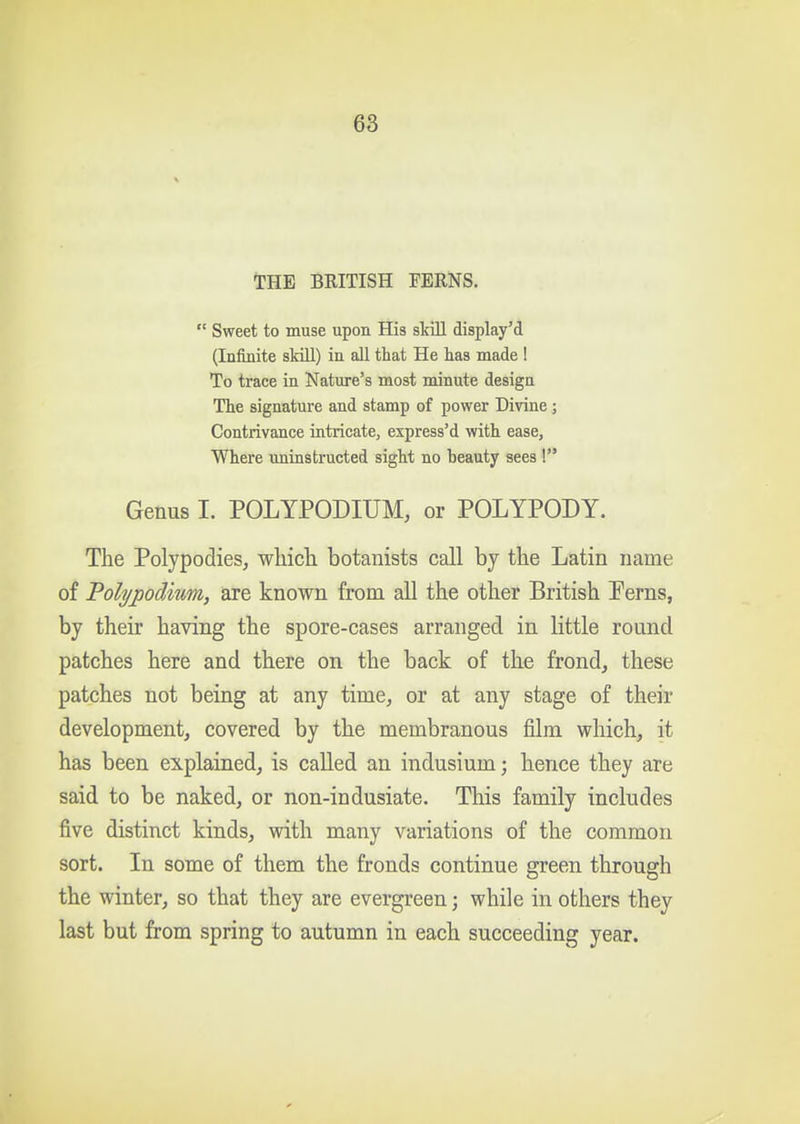 THE BRITISH FERNS.  Sweet to muse upon His skill display'd (Infinite skiU) in all that He has made 1 To trace in Nature's most minute design The signature and stamp of power Divine; Contrivance intricate, express'd with ease, Where uninstructed sight no heauty sees 1 Genus I. POLYPODIUM, or POLYPODY. The Polypodies, which botanists call by the Latin name of Polypodium, are known from all the other British Perns, by their having the spore-cases arranged in little round patches here and there on the back of the frond, these patches not being at any time, or at any stage of their development, covered by the membranous film which, it has been explained, is called an indusium; hence they are said to be naked, or non-indusiate. This family includes five distinct kinds, with many variations of the common sort. In some of them the fronds continue green through the winter, so that they are evergreen; while in others they last but from spring to autumn in each succeeding year.