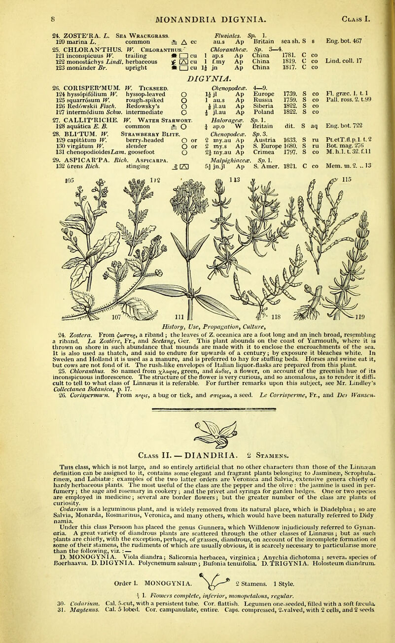 24. ZOSTE'RA. L. Sea Wrackgrass. 120 marina L. common * A ^ 25. CHLORAN'THUS. W. Chxoranthus. ' Chloranthecc. 121 inconspicuus W. trailing H O cu 1 ap.s Ap 122 monostachys Lindl. herbaceous j£ [ZS cu 1 f.my Ap 123 monander Br. upright »□ cu 1| jn Ap Fluviales. Sp. 1. au.s Ap Britain sea sh. S s Eng. bot. 467 Sp. 3—4. China 1781. C co China 1819. C co Lind. coll. 17 China 1817. C co DIGYNIA. 26. CORISPER'MUM. W. Tickseed. 124 hyss6pifolium W. hyssop-leaved O 125 squarrosum W. rough-spiked O 126 Red<>wskii Fisch. Redowsky's O 127 intermedium Schw. intermediate O 27. CALHT'RICHE. W. Water Starwort. 128 aquatica E. B. common i O 28. BLI'TUM. W. Strawberry Blue. 129 capitaturo W. berry-headed O or 130 virgatum W. slender O or 131 chenopodio'idesLawt. goosefoot O 29. ASPICAR'PA. Rich. Aspicaupa. 132 urens Rich. stinging _J [23 Chenopodea?. 1| jl Ap 1 au.s Ap I jl.au Ap | jl.au Ap Halorageee. \ ap.o W Chenopodae. 2 my.au Ap 2 my.s Ap 2| my.au Ap Malpighiacece. 5\ jn.jl Ap 4—9. Europe 1739. S CO Fl. grac. 1. 1.1 Russia 1759. S CO Pall. ross. 2. t.99 Siberia 1822. s CO Poland 1822. s CO Sp. 1. Britain dit. s aq Eng. bot. 722 Sp.3. Austria 1633. s ru Pt.etT.fl.p.l. t.2 S. Europe 1680. s ru Bot. mag. 276 Crimea 1797. s CO M.h.l.t.32.f.U \ Sp.l. Mem. m.2. ..13 S. Amer. 1821. c CO History, Use, Propagation, Culture, 24. Zostera. From {aia-ry^, a riband; the leaves of Z. oceanica are a foot long and an inch broad, resembling a riband La Zostere, Fr., and Seetang, Ger. This plant abounds on the coast of Yarmouth, where it is thrown on shore in such abundance that mounds are made with it to enclose the encroachments of the sea. It is also used as thatch, and said to endure for upwards of a century; by exposure it bleaches white. In Sweden and Holland it is used as a manure, and is preferred to hay for stuffing beds. Horses and swine eat it, but cows are not fond of it. The rush-like envelopes of Italian liquor-flasks are prepared from this plant. 25. Chloranthus. So named from j^X^as, green, and &vBo;, a flower, on account of the greenish hue of its inconspicuous inflorescence. The structure of the flower is very curious, and so anomalous, as to render it diffi- cult to tell to what class of Linnaeus it is referable. For further remarks upon this subject, see Mr. Lindley's Collectanea Botanica, p. 17. 26. Corispermum. From asngif, a bug or tick, and triri%/ita, a seed. Le Corrisperme, Fr., and Dei Wansen- Class II. — DIANDRIA. 2 Stamens. This class, which is not large, and so entirely artificial that no other characters than those of the Linnaan definition can be assigned to it, contains some elegant and fragrant plants belonging to Jasminea?, Scrophula- rineee, and Labiata?: examples of the two latter orders are Veronica and Salvia, extensive genera chiefly of hardy herbaceous plants. The most useful of the class are the pepper and the olive: the jasmine is used in per- fumery ; the sage and rosemary in cookery; and the privet and syringa for garden hedges. One or two species are employed in medicine; several are border flowers; but the greater number of the class are plants of curiosity. Codarium is a leguminous plant, and is widely removed from its natural place, which is Diadelphia ; so are Salvia, Monarda, Rosmarinus, Veronica, and many others, which would have been naturally referred to Didy namia. Under this class Persoon has placed the genus Gunnera, which Willdenow injudiciously referred to Gynan- aria. A great variety of diandrous plants are scattered through the other classes of Linnams ; but as such plants are chiefly, with the exception, perhaps, of grasses, diandrous, on account of the incomplete formation of some of their stamens, the rudiments of which are usually obvious, it is scarcely necessary to particularise more than the following, viz.: — D. MONOGYNIA. Viola diandra; Salicornia herbacea, virginica; Anychia dichotoma ; severa. species of Boerhaavia. D. DIGYNIA. Polycnemum salsum; Bufoniatenuifolia. D.TRIGYNIA. Holosteum diandrum. Order 1. MONOGYNIA. 2 Stamens. 1 Style. \ 1. Flowers complete, inferior, monopetalous, regular. 30. Codarium. Cal. 5-cut, with a persistent tube. Cor. flattish. Legumen one-seeded, filled with a soft fax-ula. 31. Maytenus. C'al. 5 lobed. Cor. campanulate, entire. Caps, compressed, 2-valved, with 2 cells, and 2 seeds